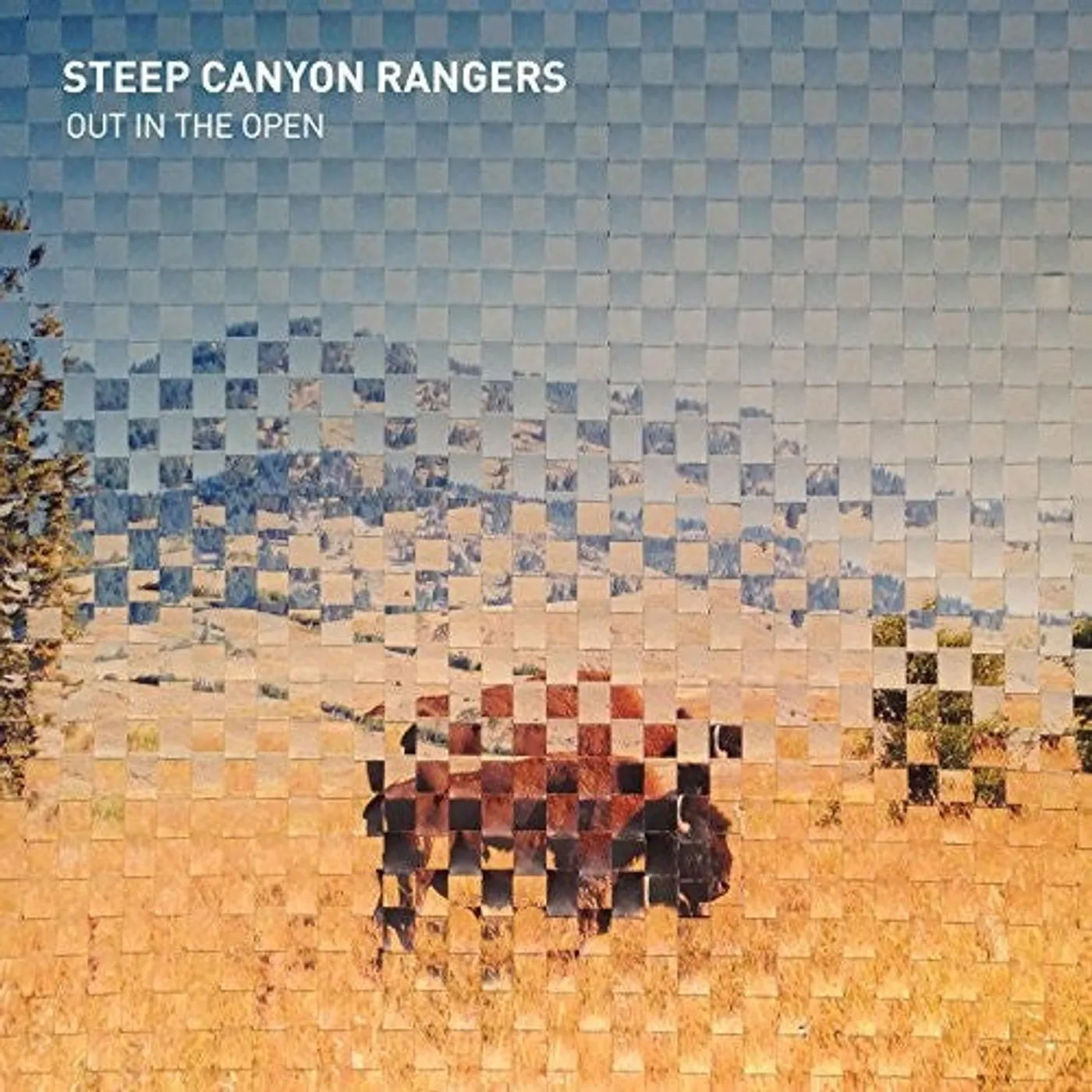 Steep Canyon Rangers LP Vinyl - Out In The Open