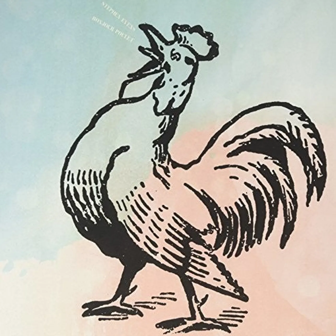 Stephen Evens LP Vinyl - Bonjour Poulet (Uk)