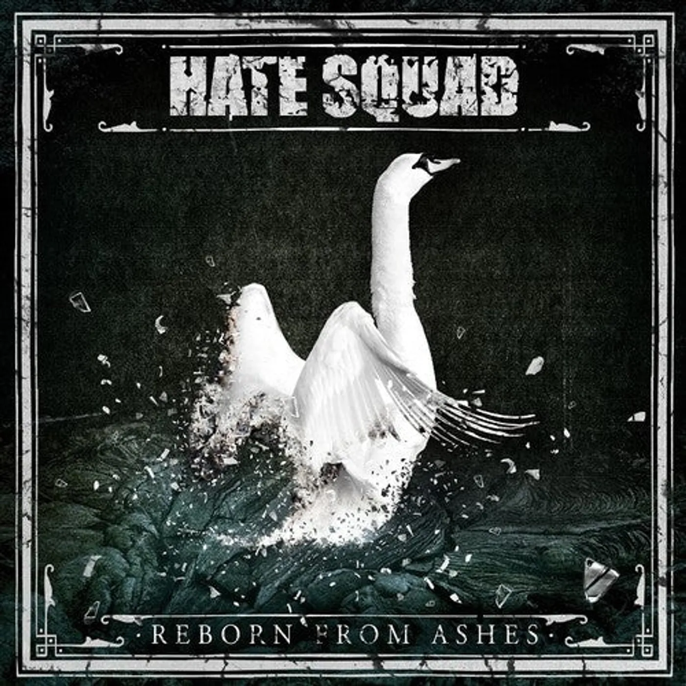 Hate Squad LP Vinyl - Reborn From Ashes (Blk)