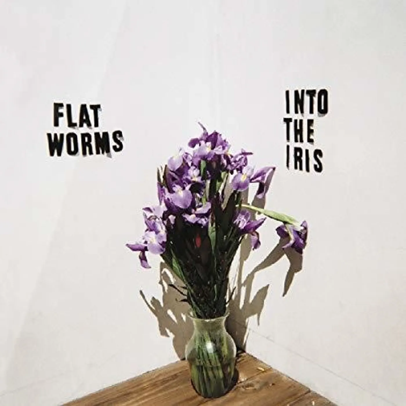 Flat Worms LP Vinyl - Into The Iris