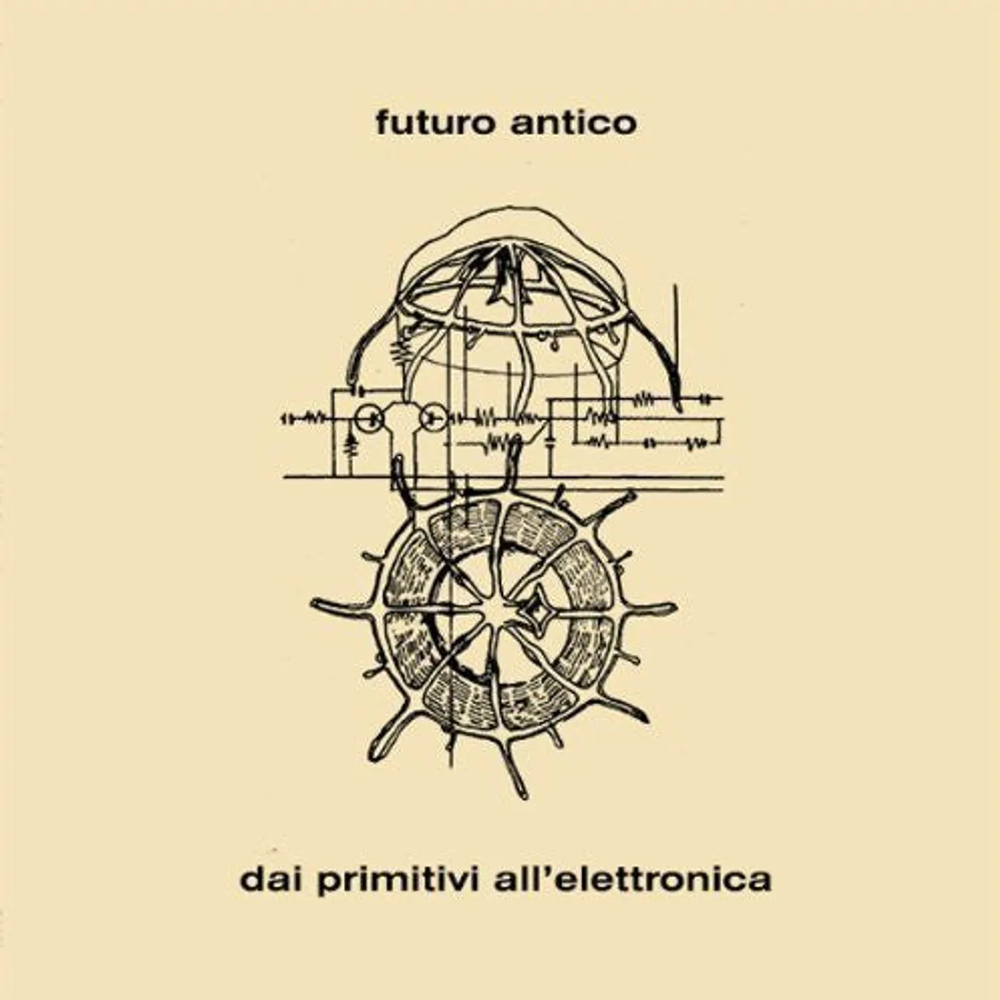 Angelo Branduardi LP Vinyl - Dai Primitivi All' Elettronica