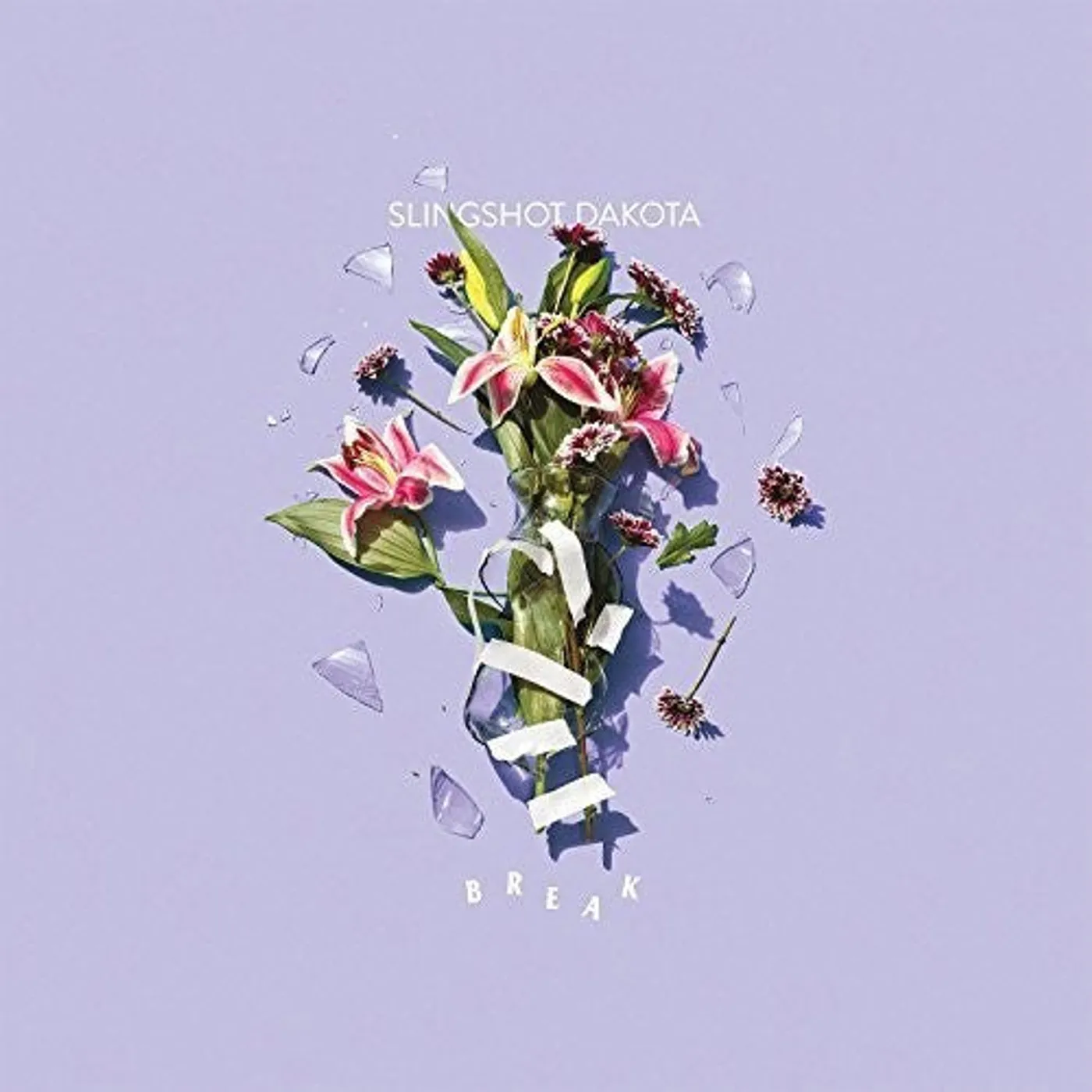 Slingshot Dakota LP Vinyl - Break