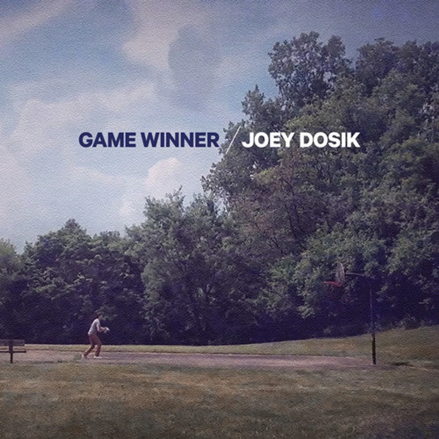 Joey Dosik LP Vinyl - Game Winner