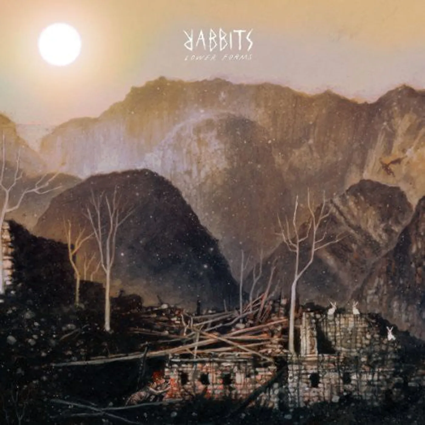Rabbits LP Vinyl - Lower Forms
