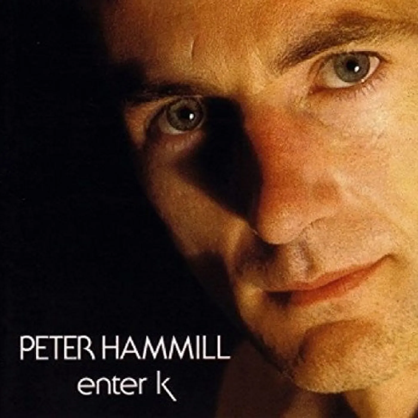 Peter Hammill LP Vinyl - Enter K
