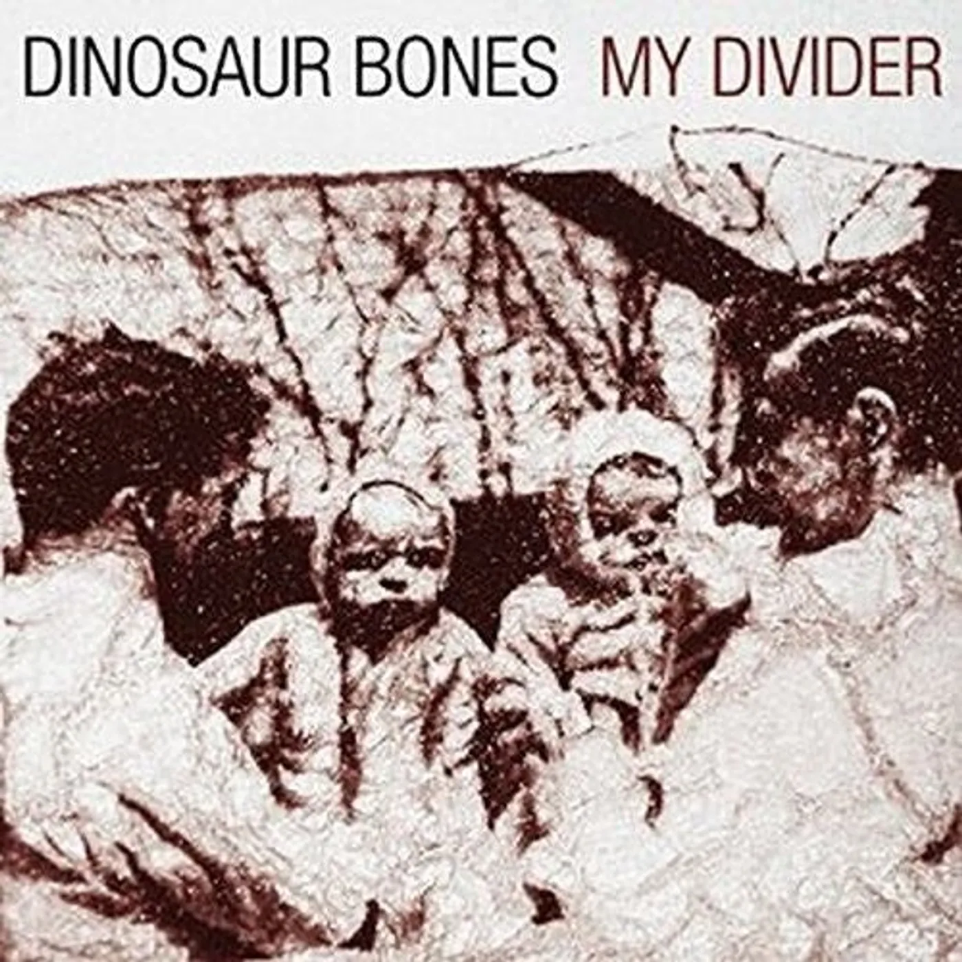 Dinosaur Bones LP Vinyl - My Divider (Lp) (Can)
