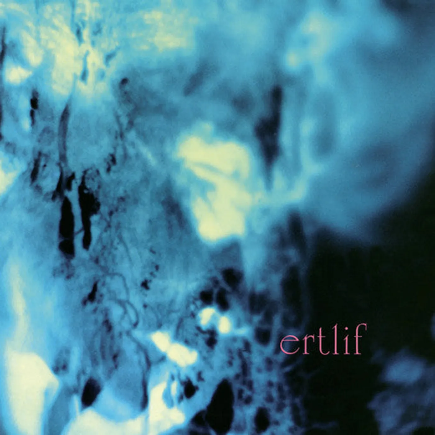 Ertlif LP Vinyl - Ertlif