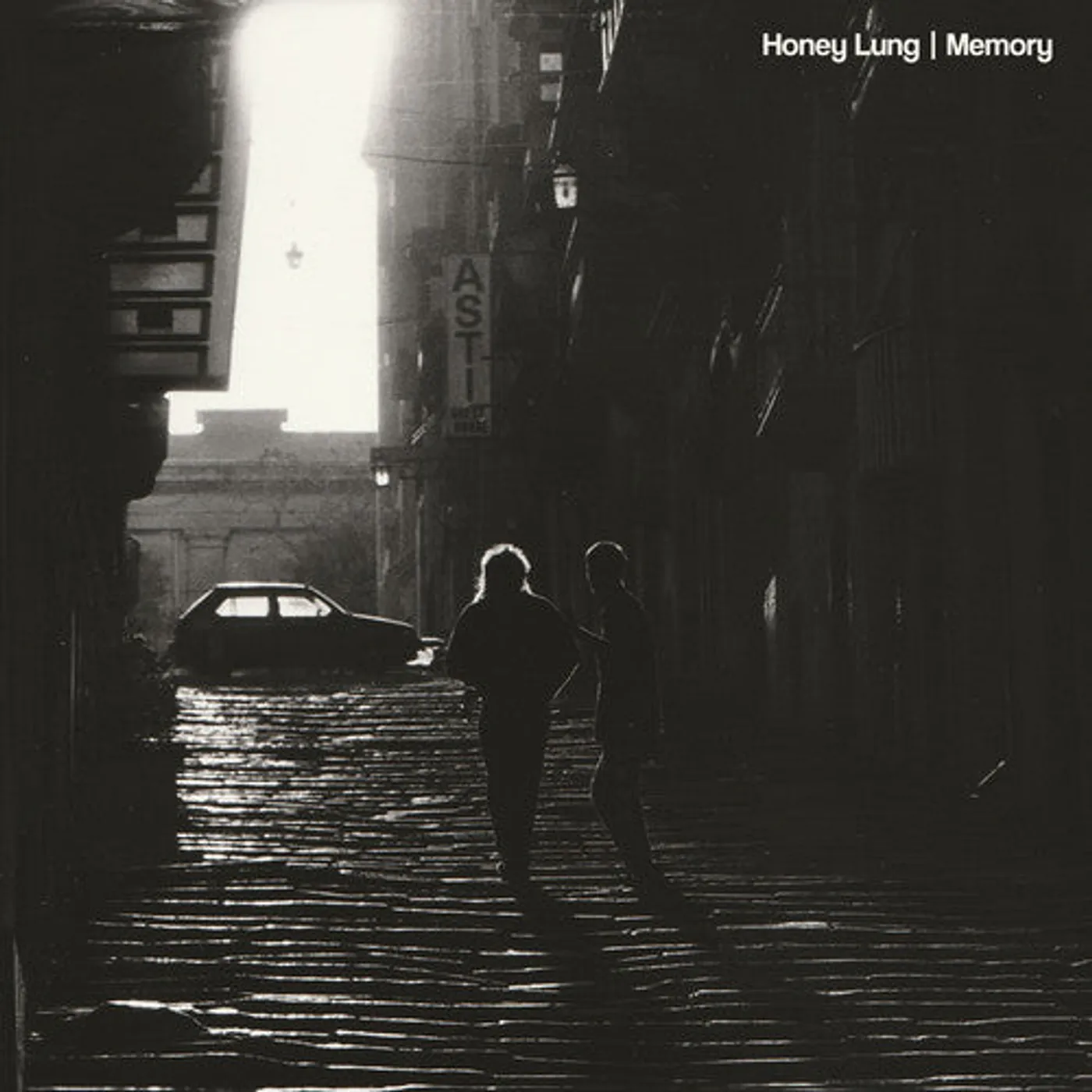 Honey Lung LP Vinyl - Memory