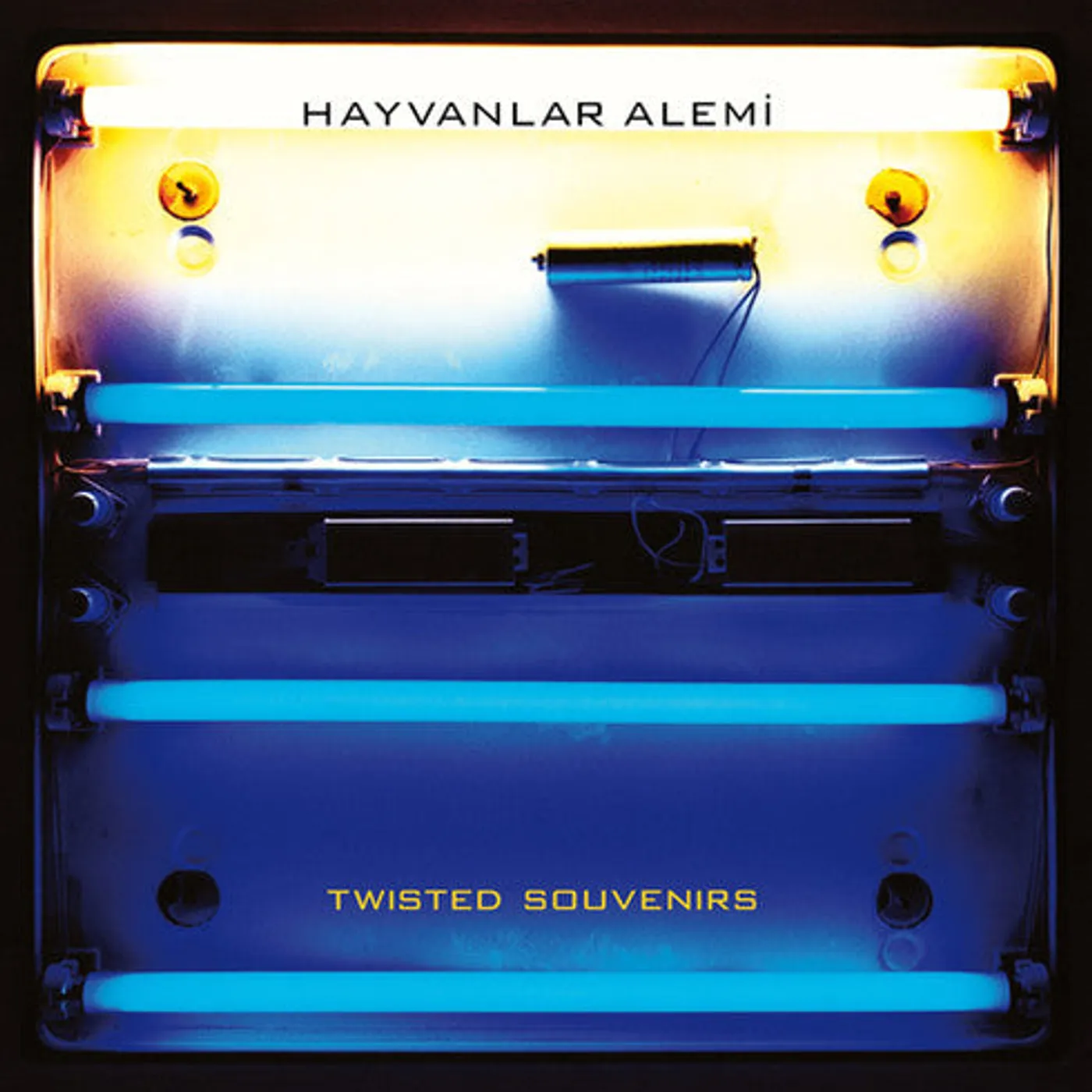 Hayvanlar Alemi LP Vinyl - Twisted Souvenirs