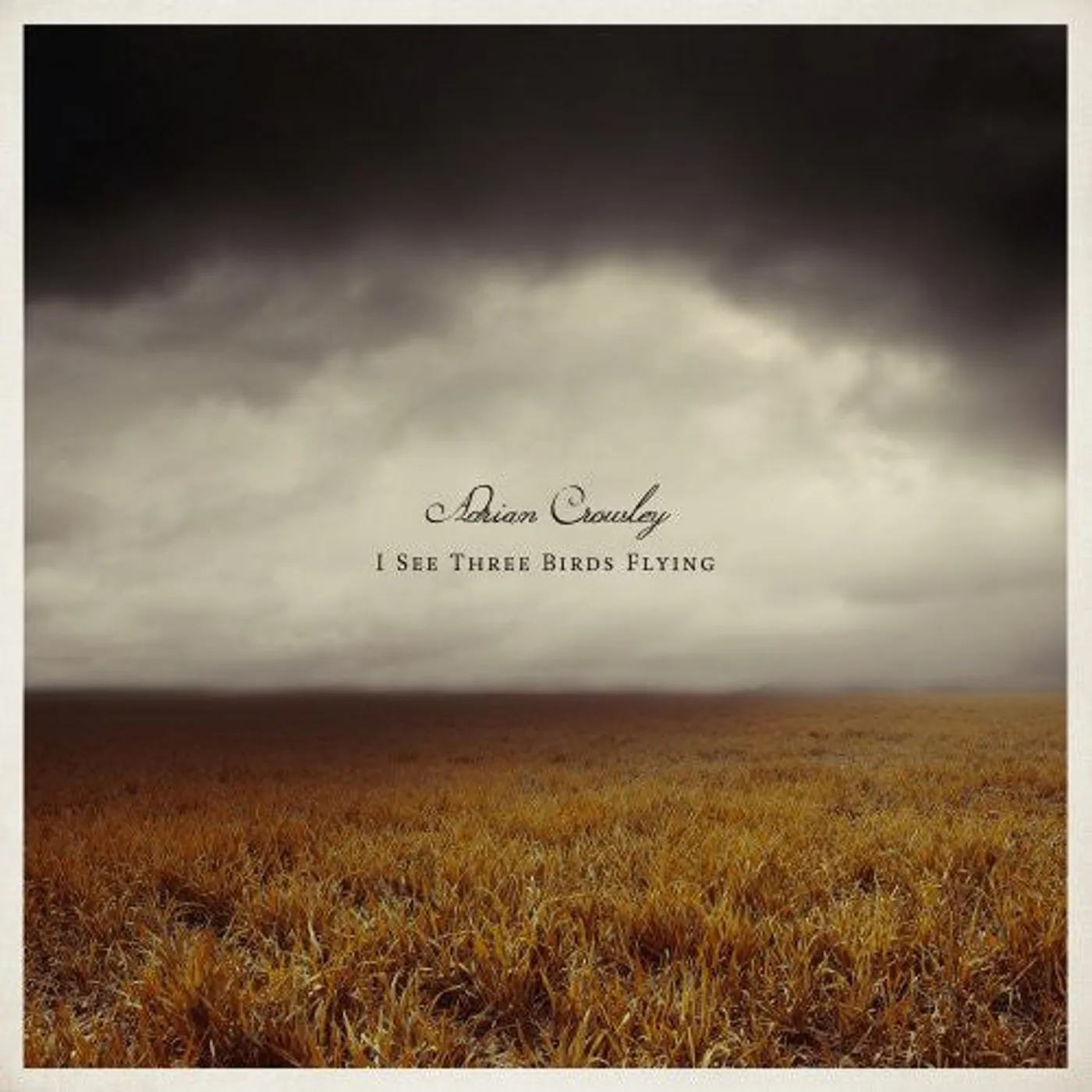 Adrian Crowley LP Vinyl - I See Three Birds Flying