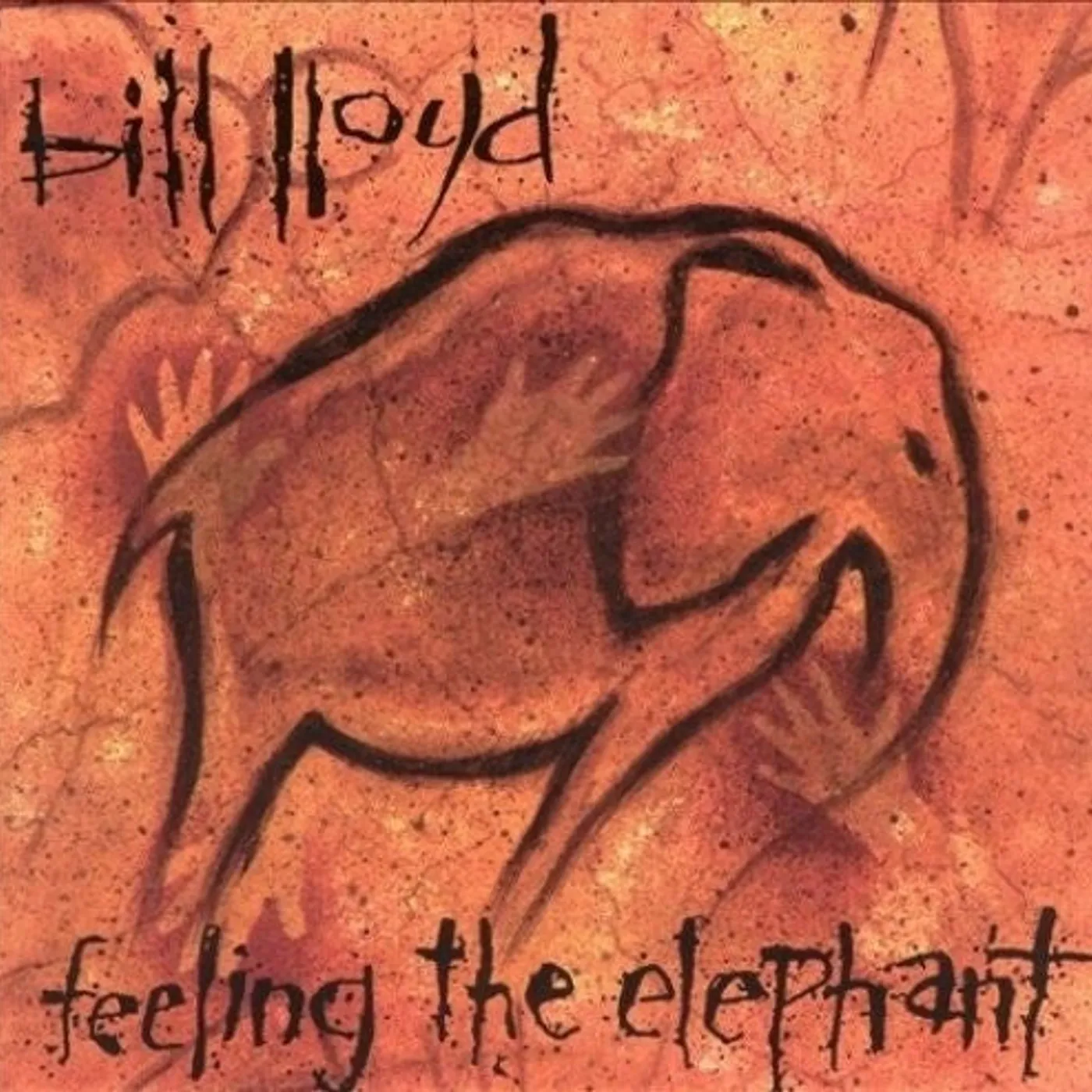 Bill Lloyd LP Vinyl - Feeling The Elephant