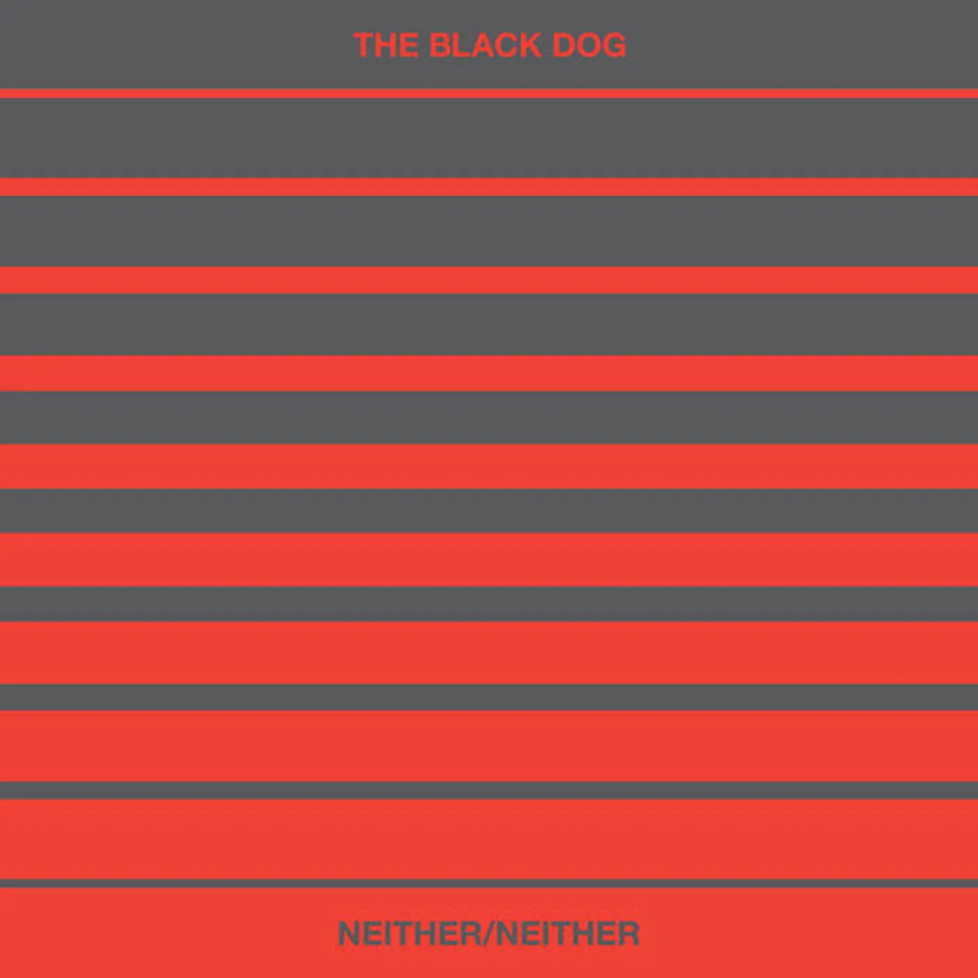 Black Dog LP Vinyl - Neither / Neither