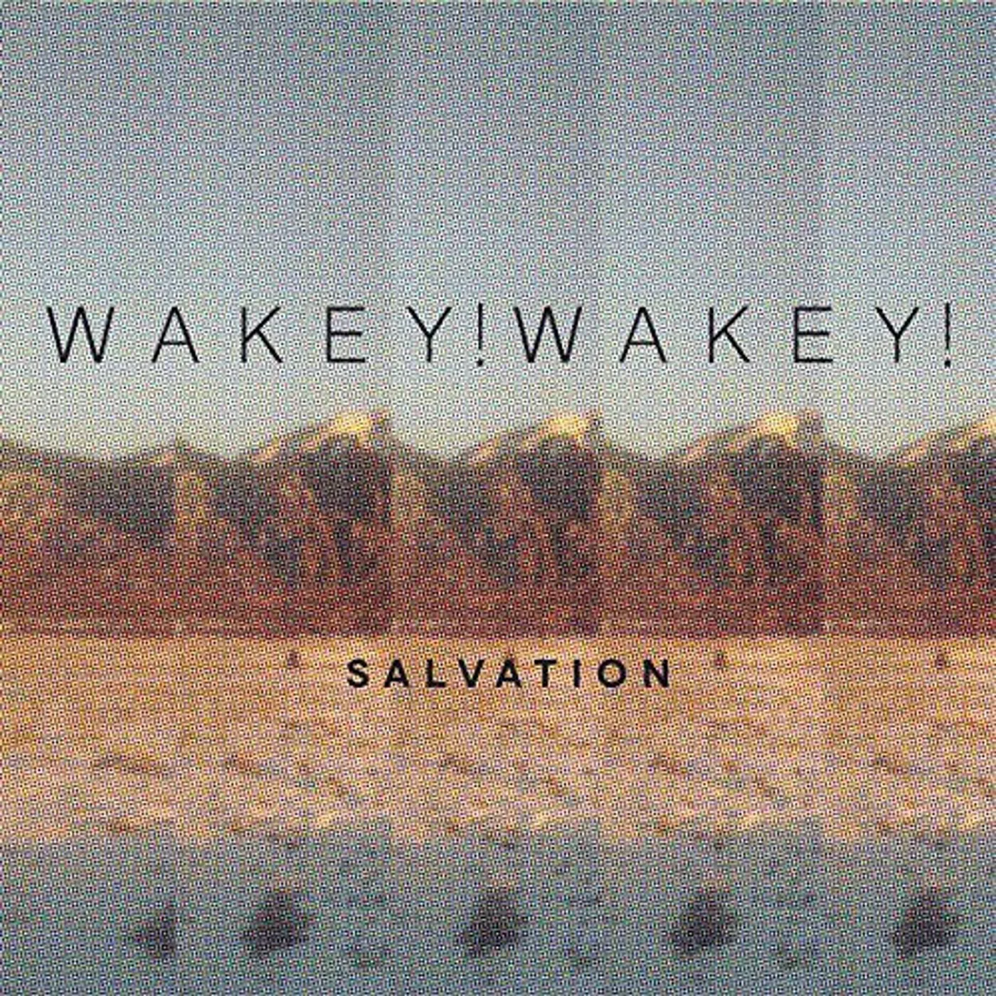 Wakey!Wakey! LP Vinyl - Salvation