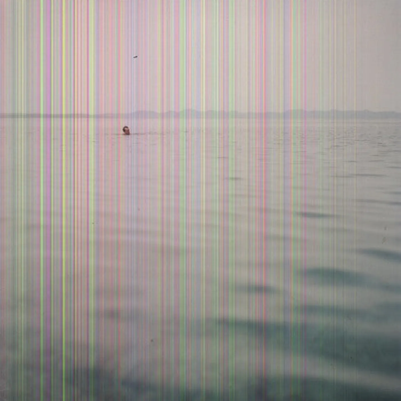Blue Cranes LP Vinyl - Swim (Blue)