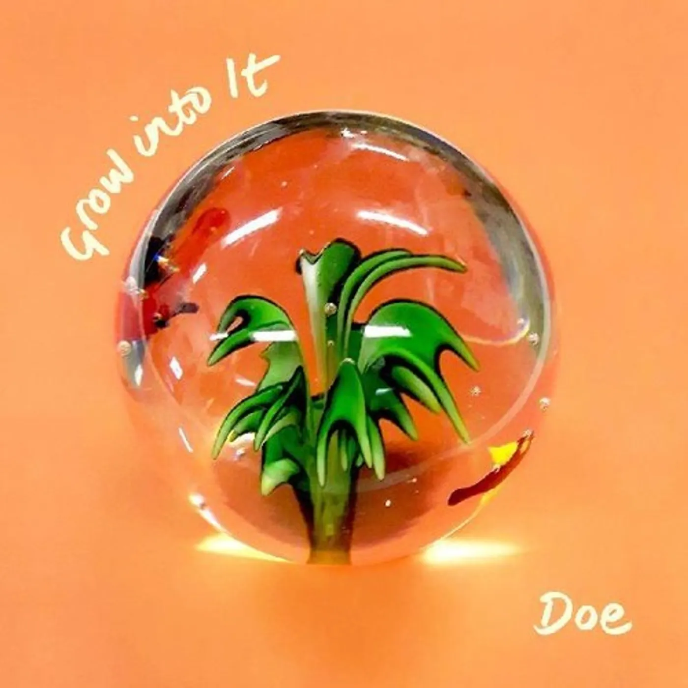 Doe LP Vinyl - Grow Into It (Dlcd)