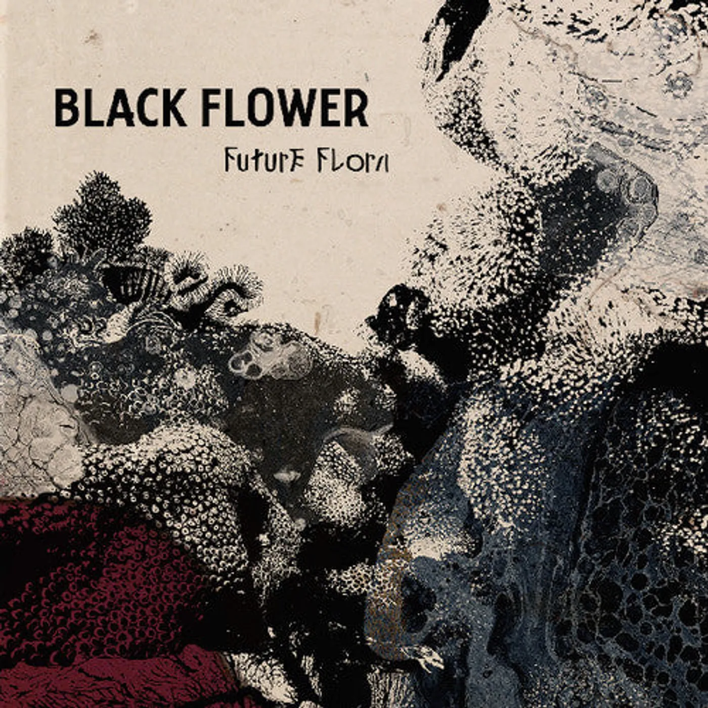 Black Flower LP Vinyl - Future Flora