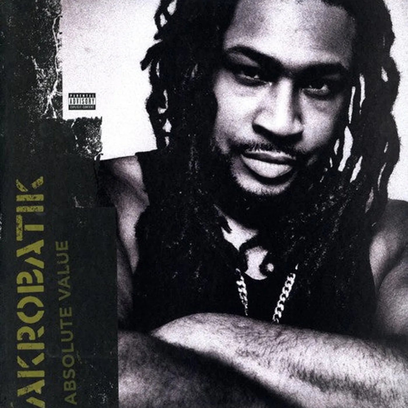 Akrobatik LP Vinyl - Absolute Value