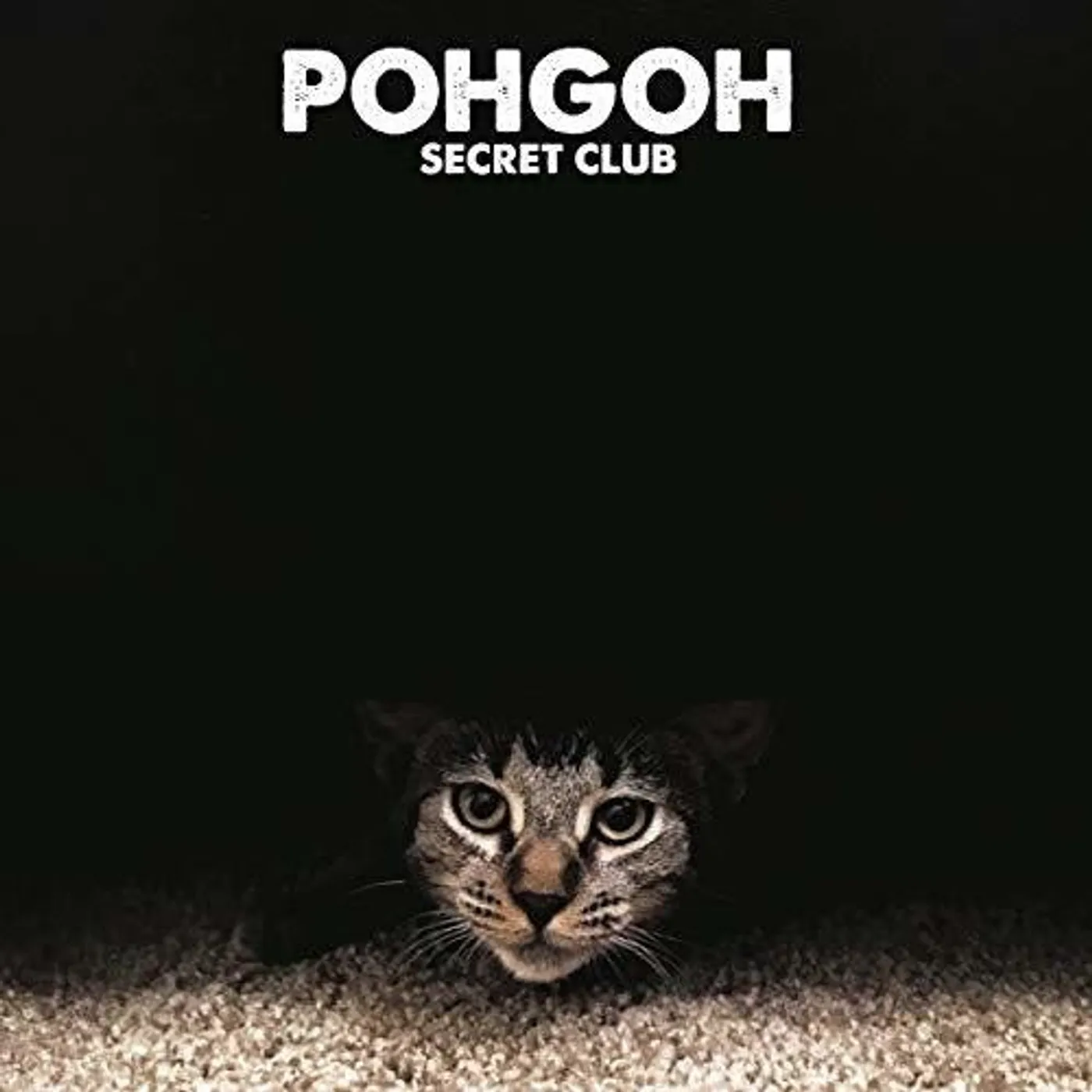 Pohgoh LP Vinyl - Secret Club