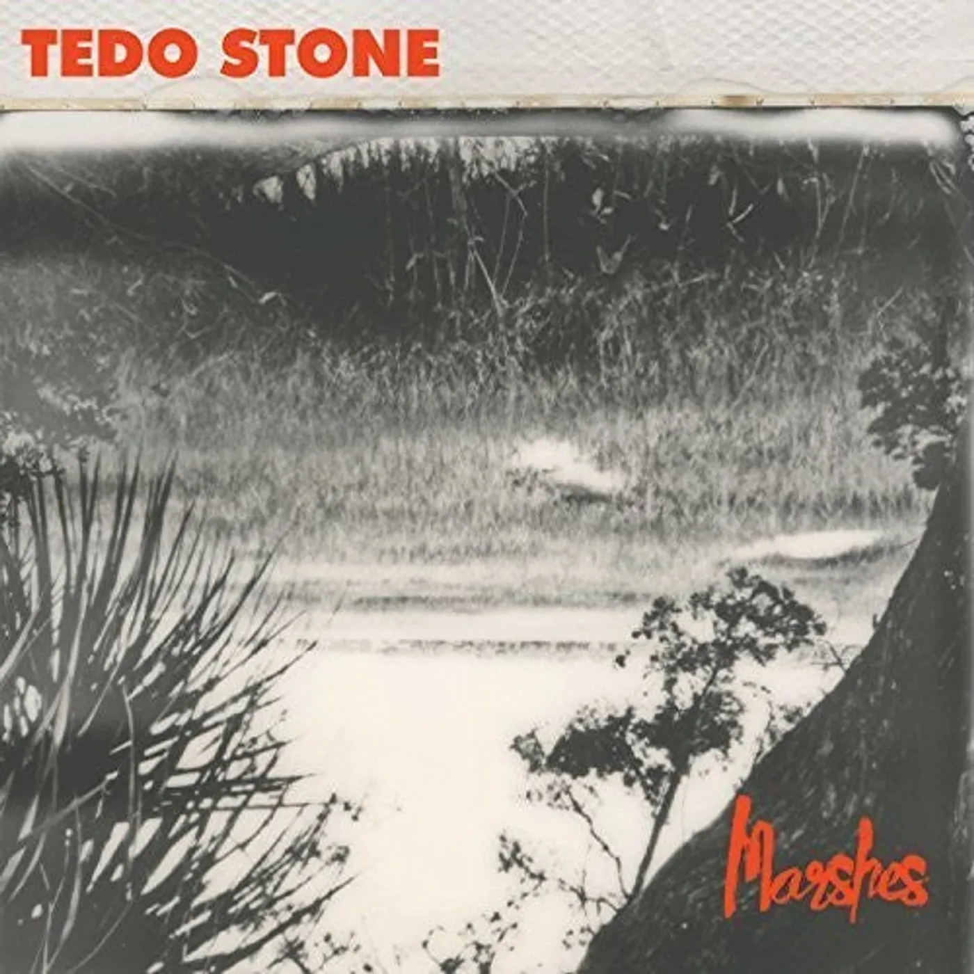 Tedo Stone LP Vinyl - Marshes