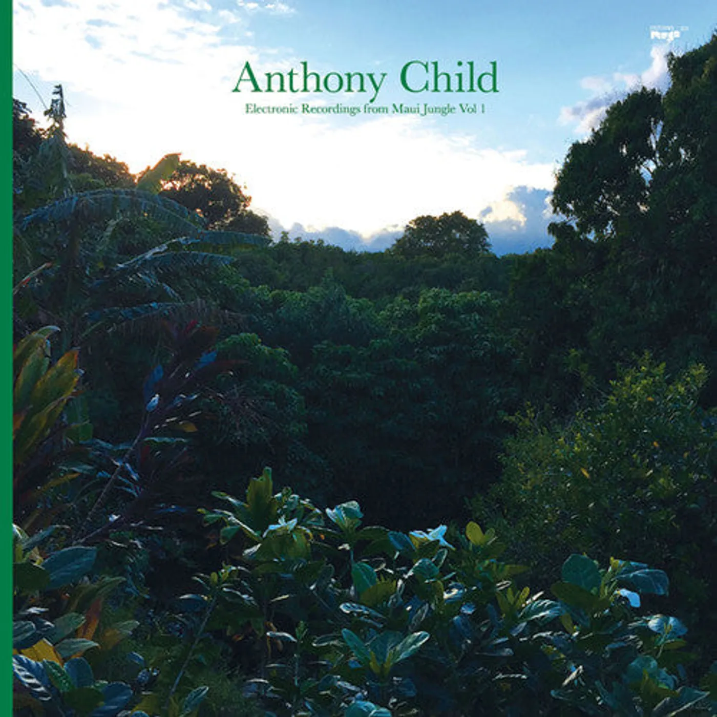 Anthony Child LP Vinyl - Electronic Recordings From Maui Jungle 1