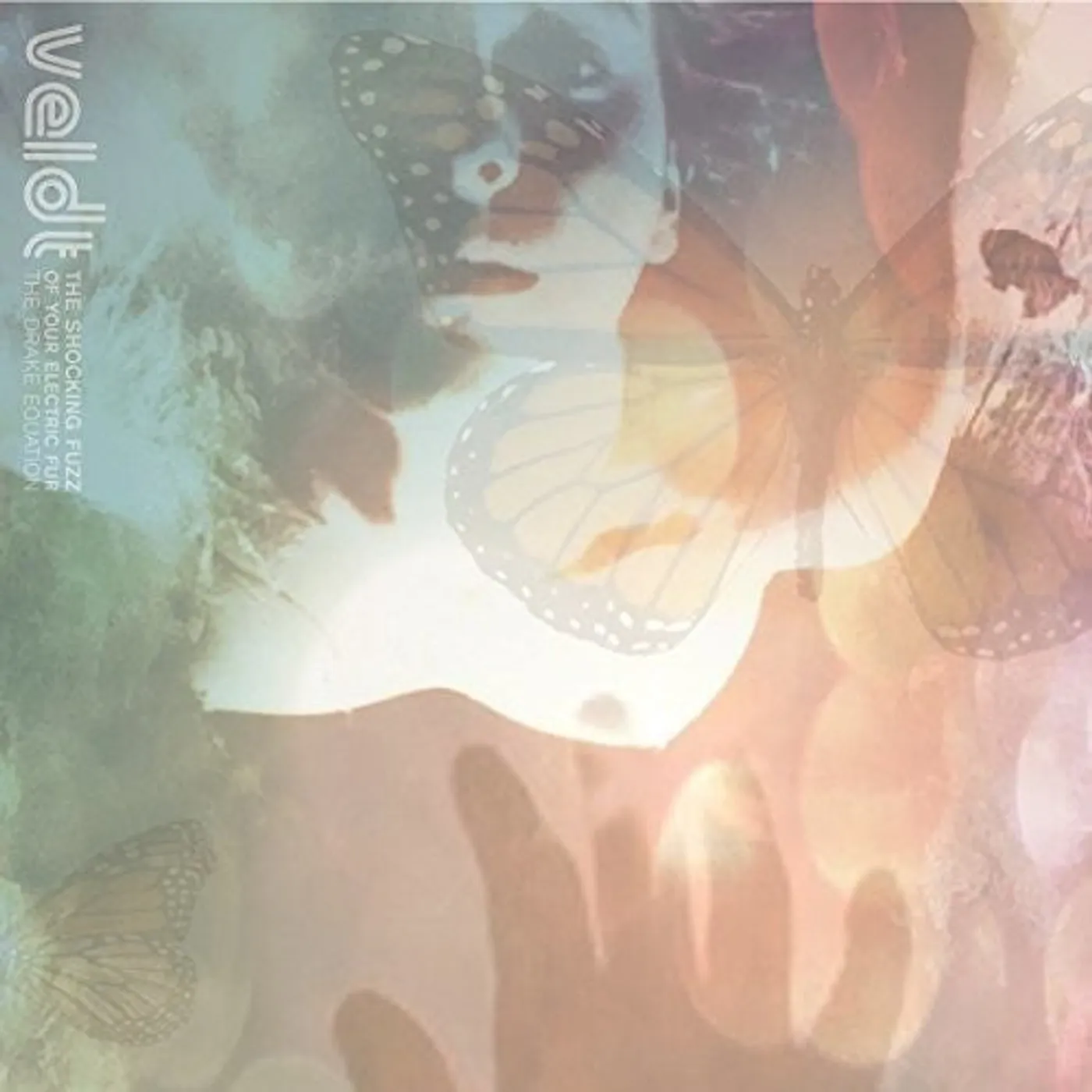 The Veldt LP Vinyl - Shocking Fuzz Of Your Electric Fur: Drake Equation