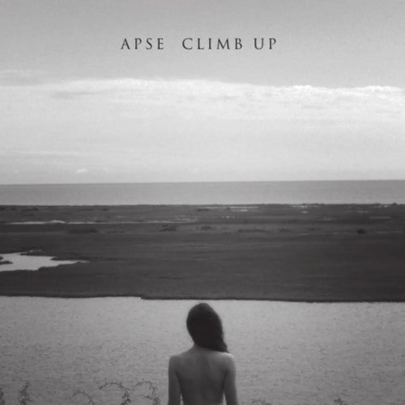 Apse LP Vinyl - Climb Up