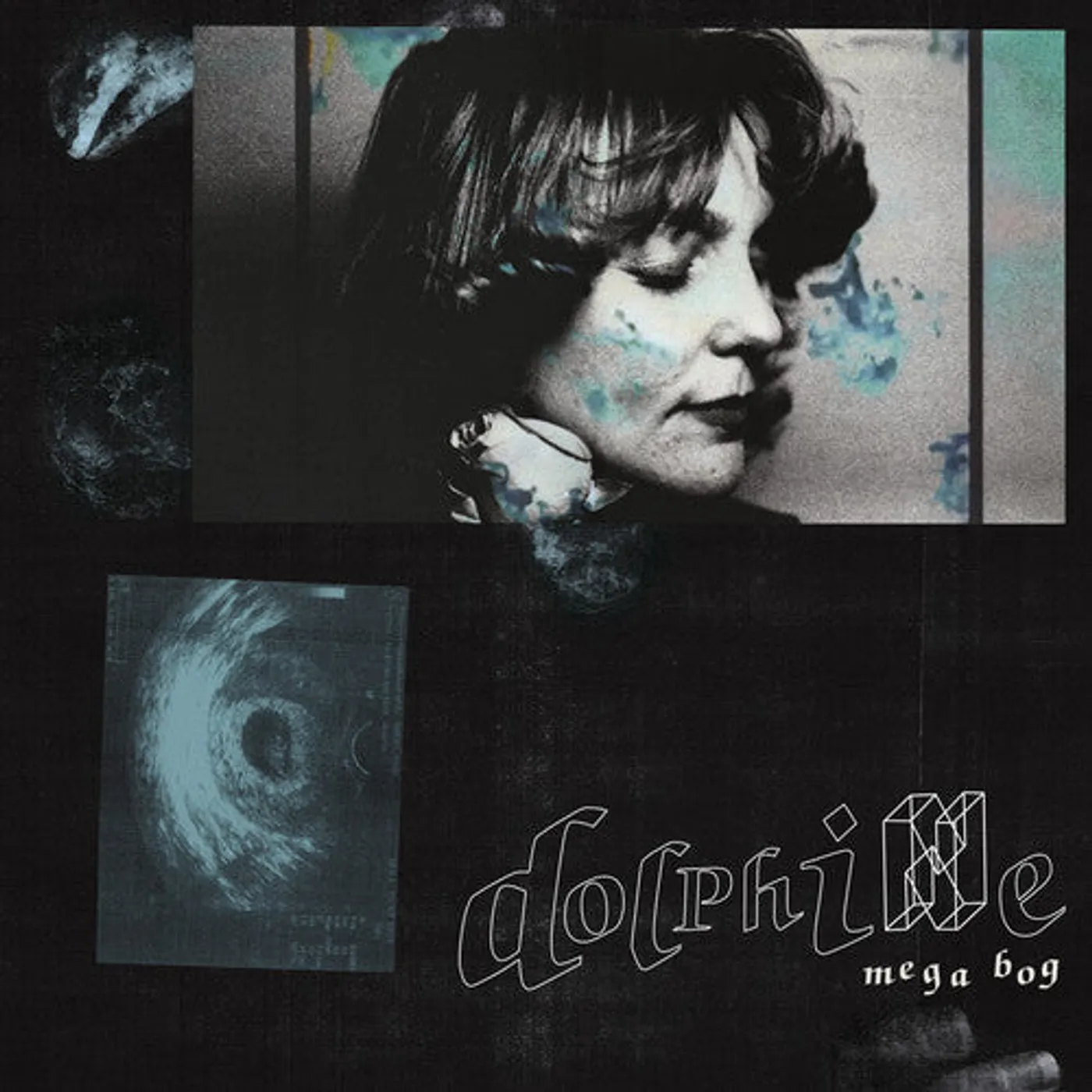 Mega Bog LP Vinyl - Dolphine
