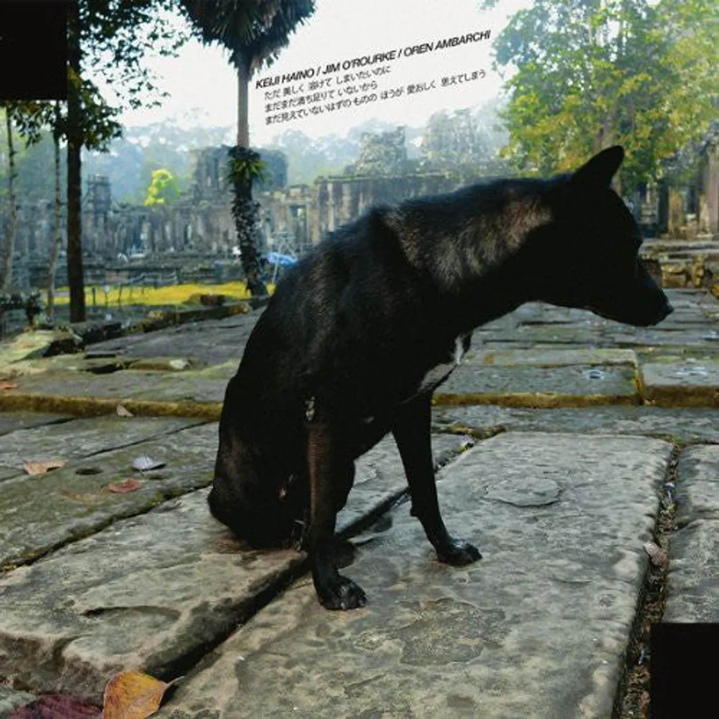 Keiji Haino LP Vinyl - Only Wanting To Melt Beautifully Away Is It A Lack