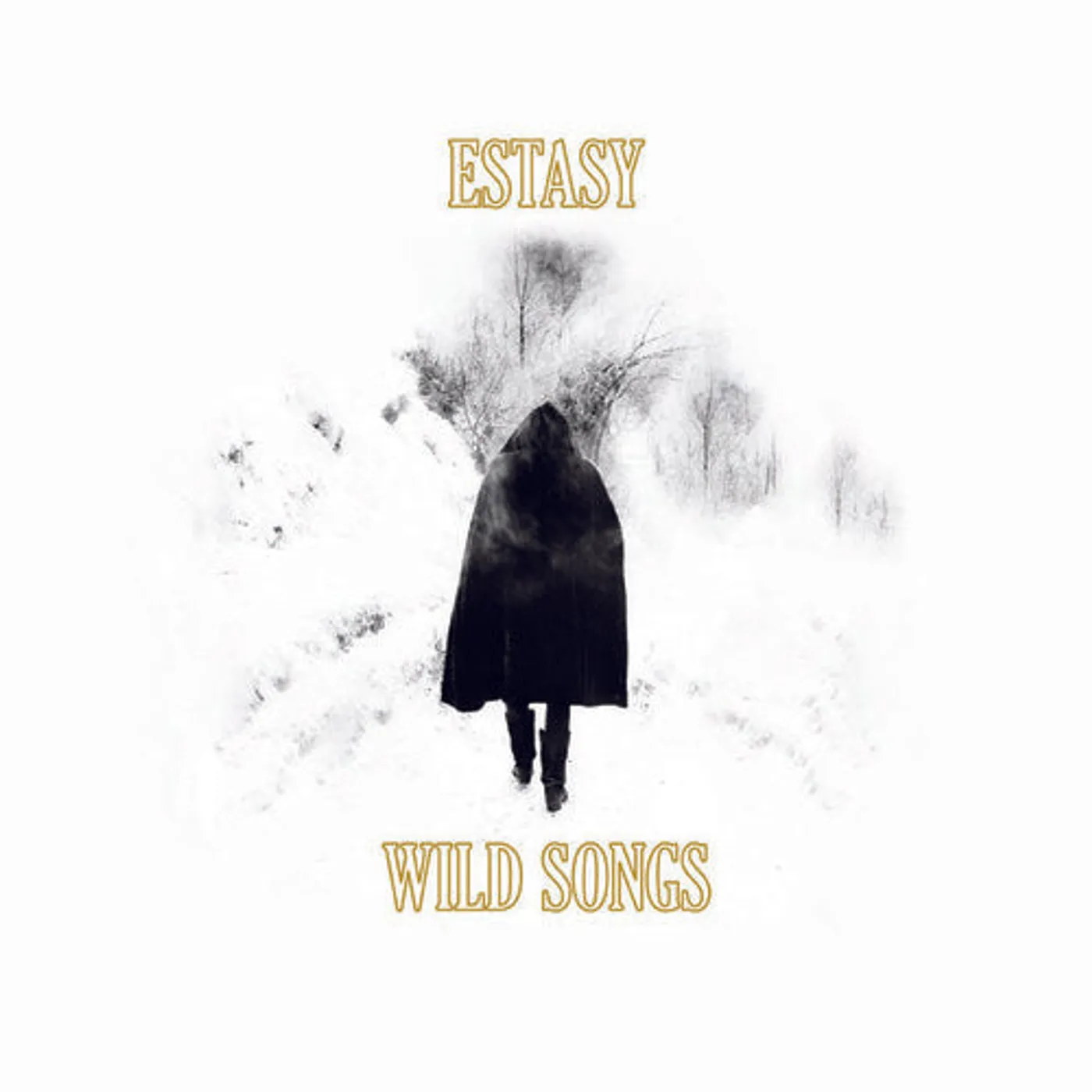 Estasy LP Vinyl - Wild Songs