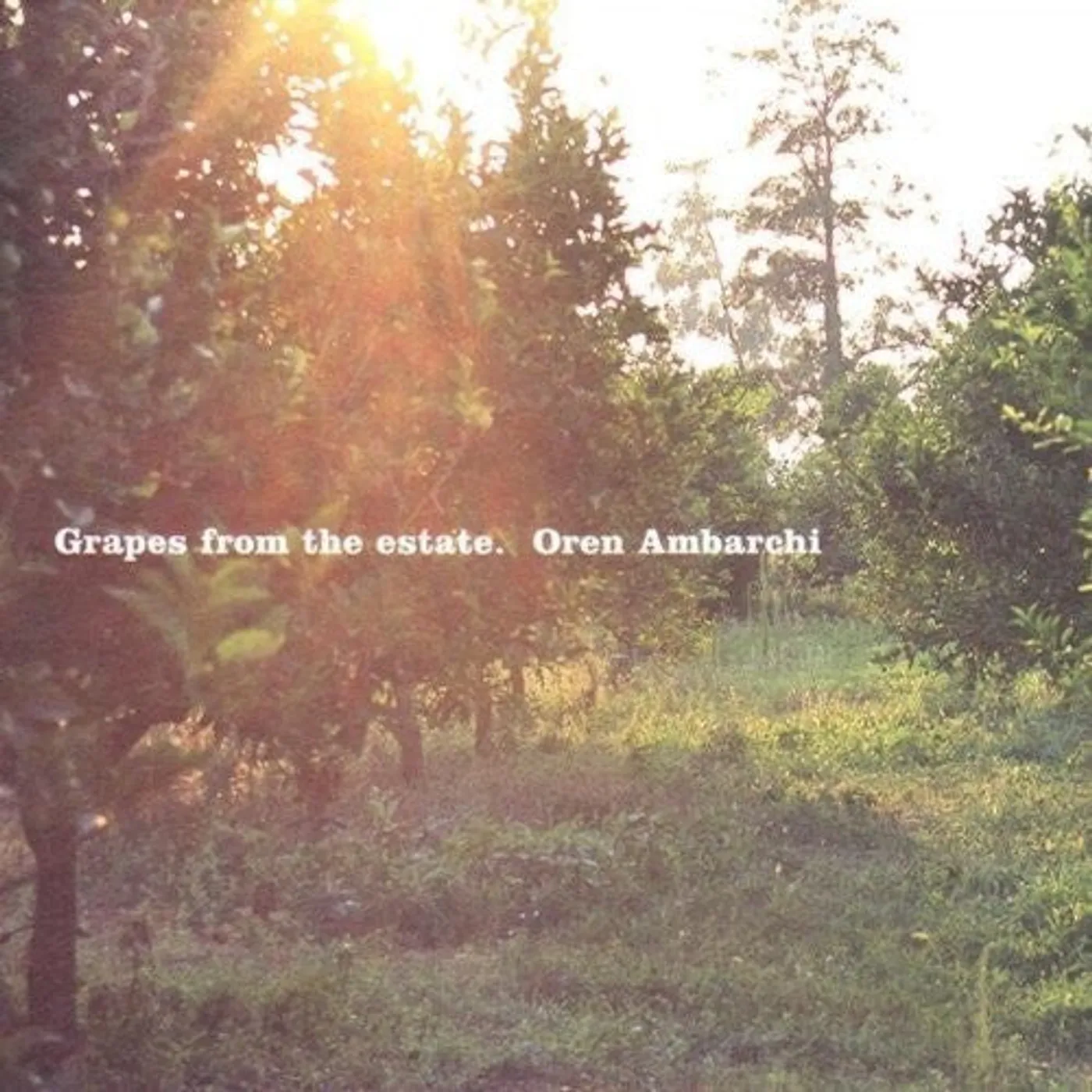 Oren Ambarchi LP Vinyl - Grapes From The Estate (2Pk)