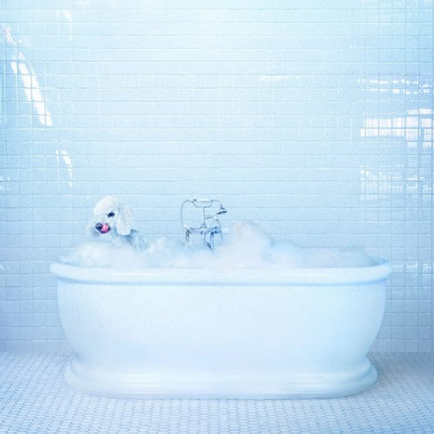 Frankie Cosmos LP Vinyl - Vessel