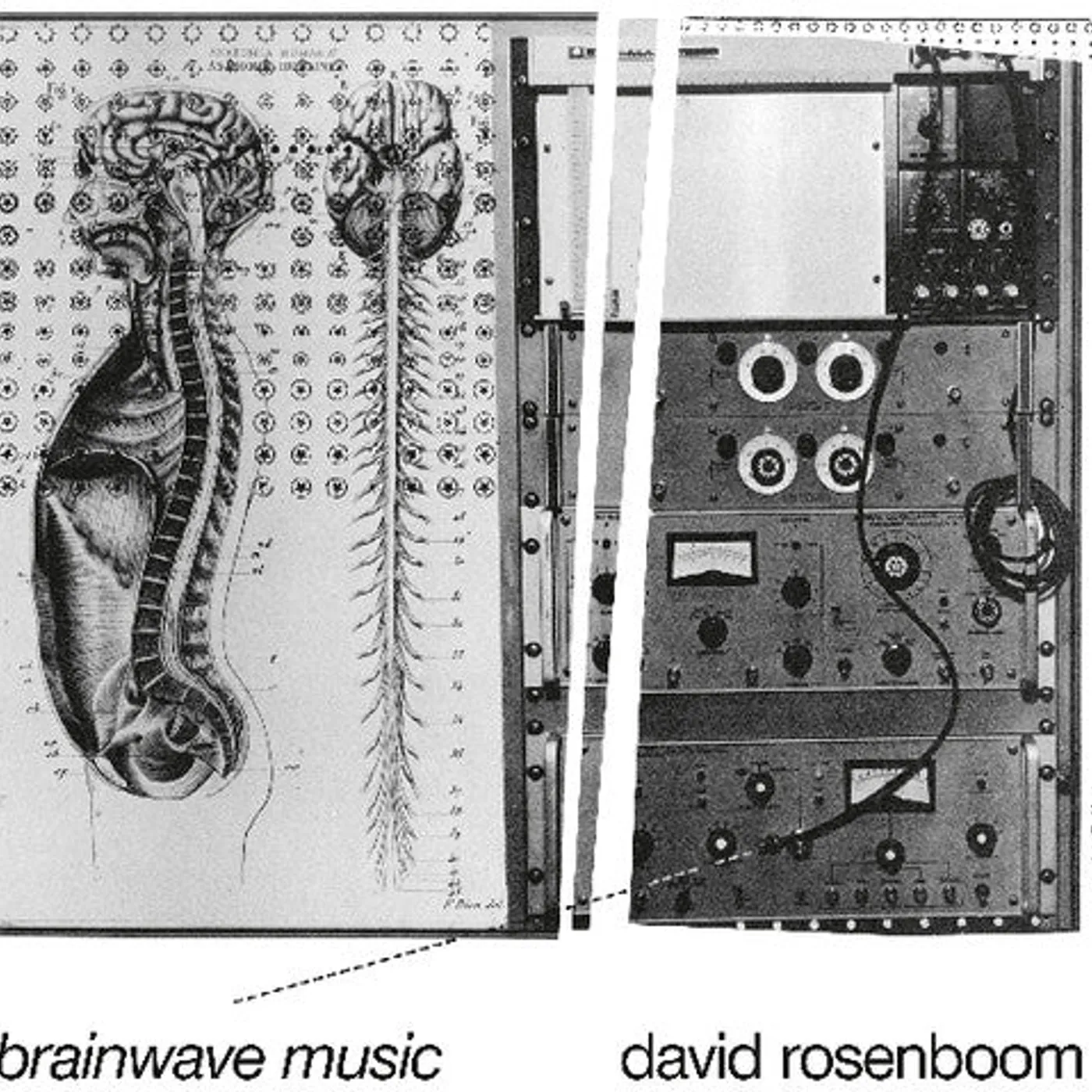 David Rosenboom LP Vinyl - Brainwave Music (2Pk)