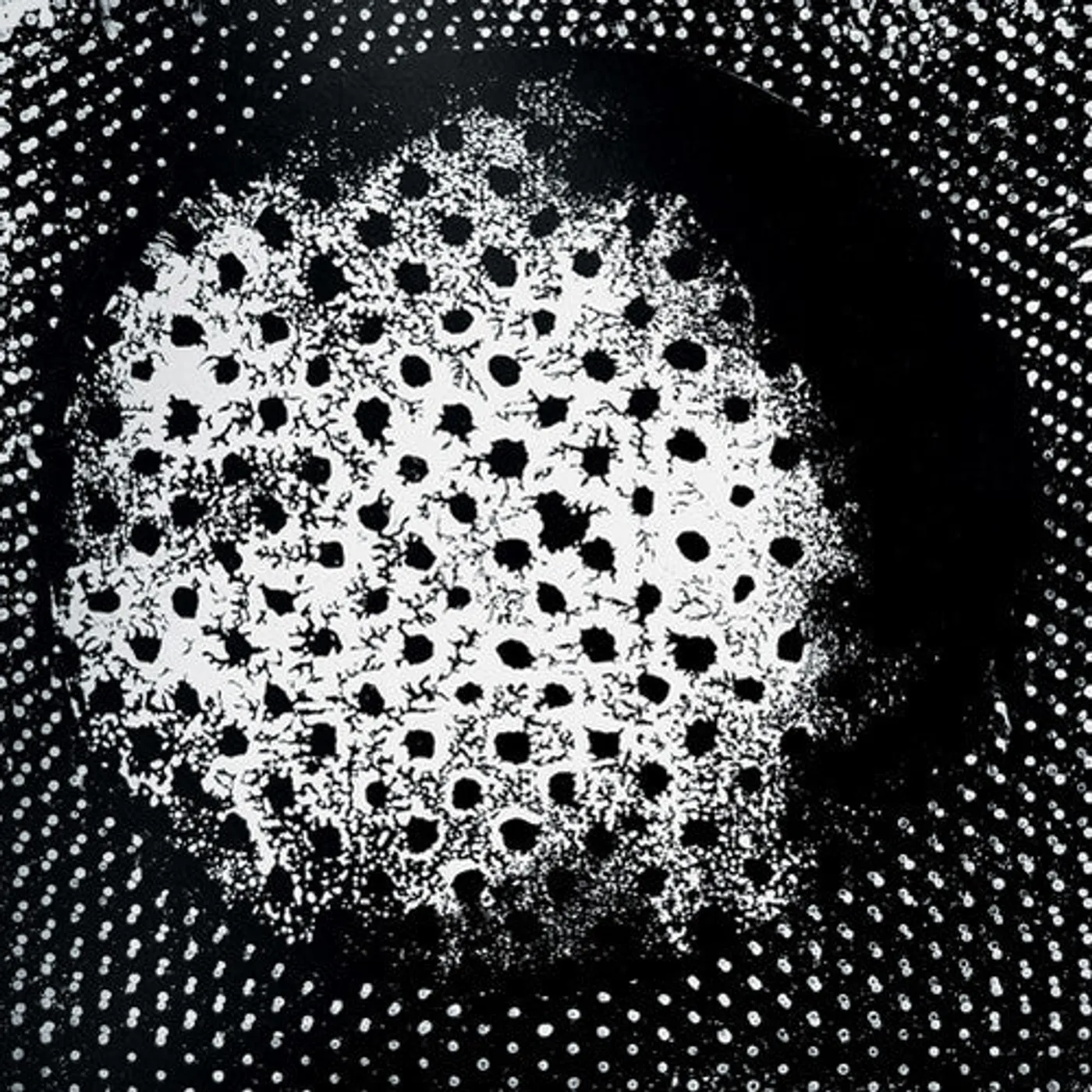 Biosphere LP Vinyl - Patashnik