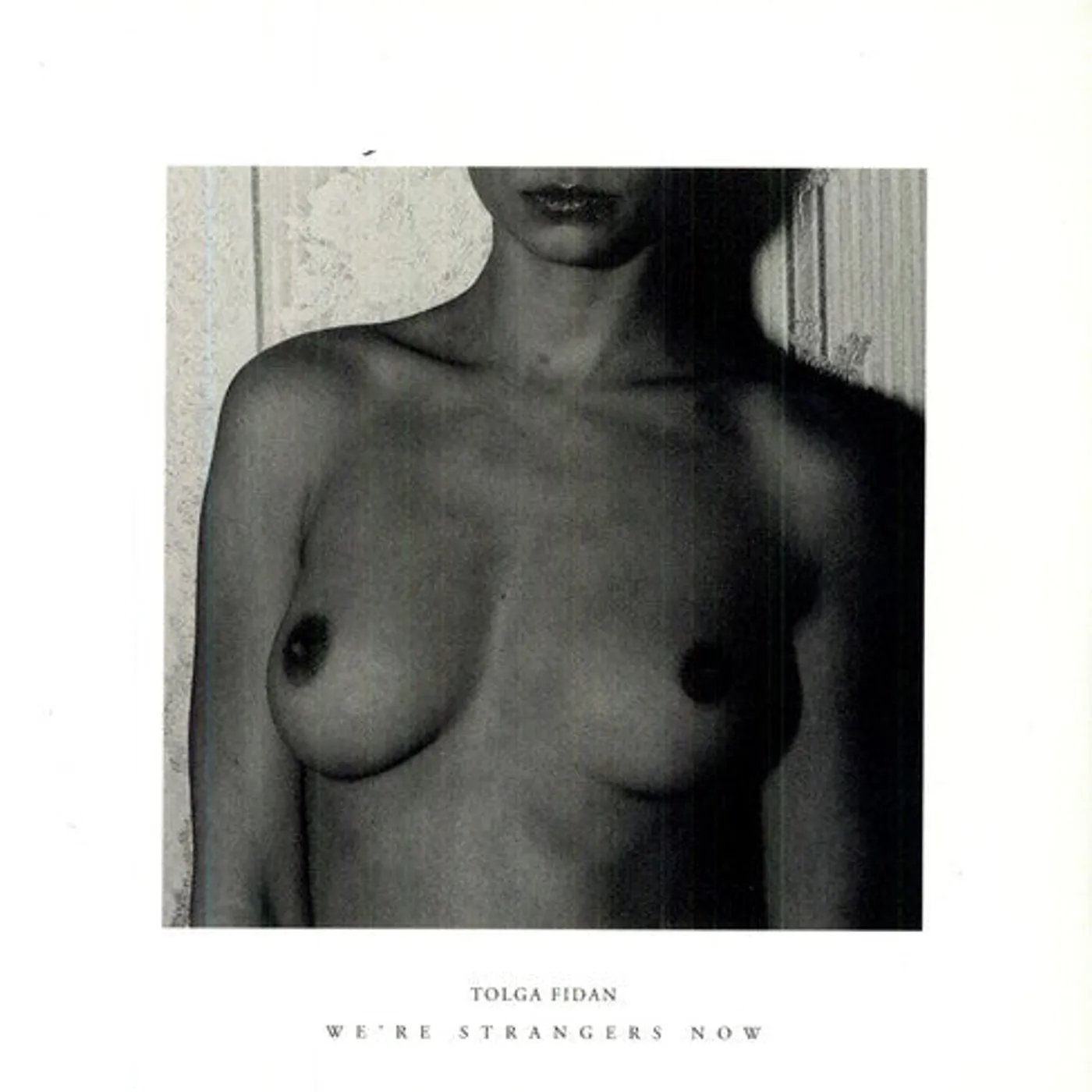 Tolga Fidan LP Vinyl - Were Strangers Now