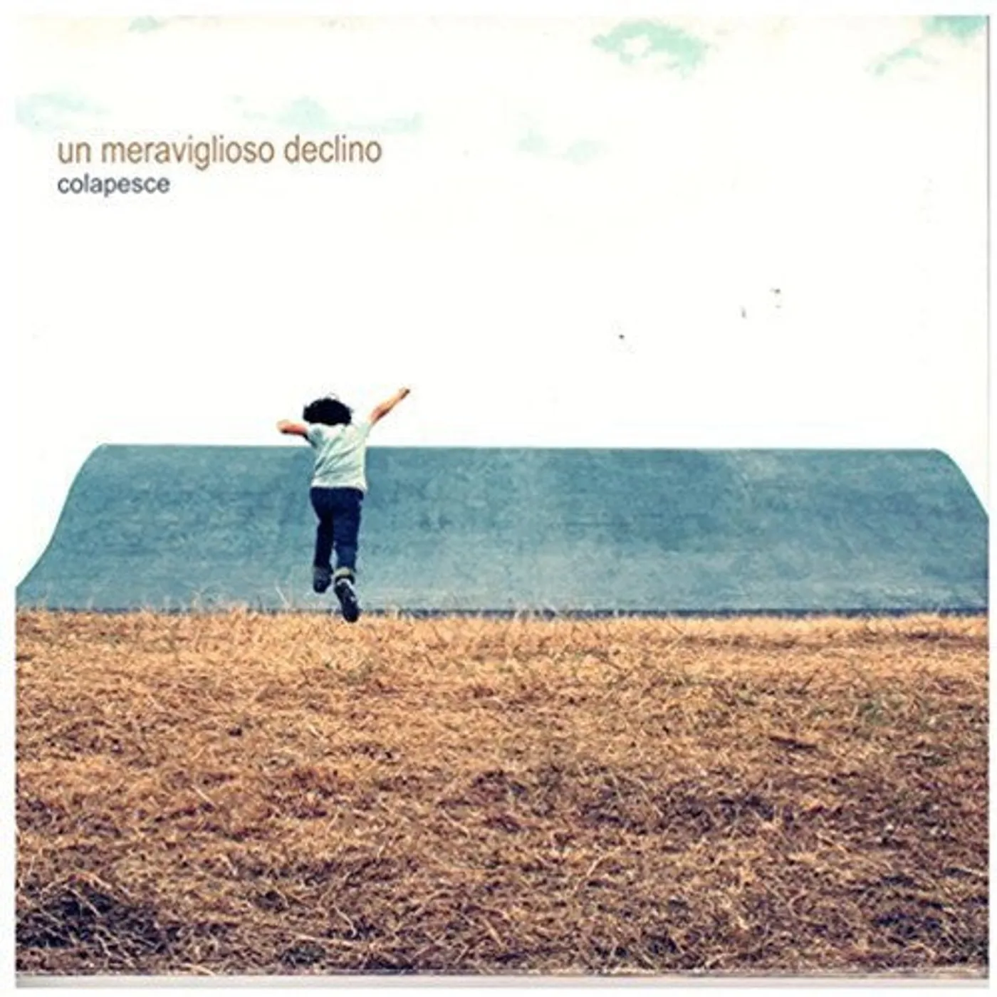 Colapesce LP Vinyl - Un Meraviglioso Declino (Wsv) (Ita)