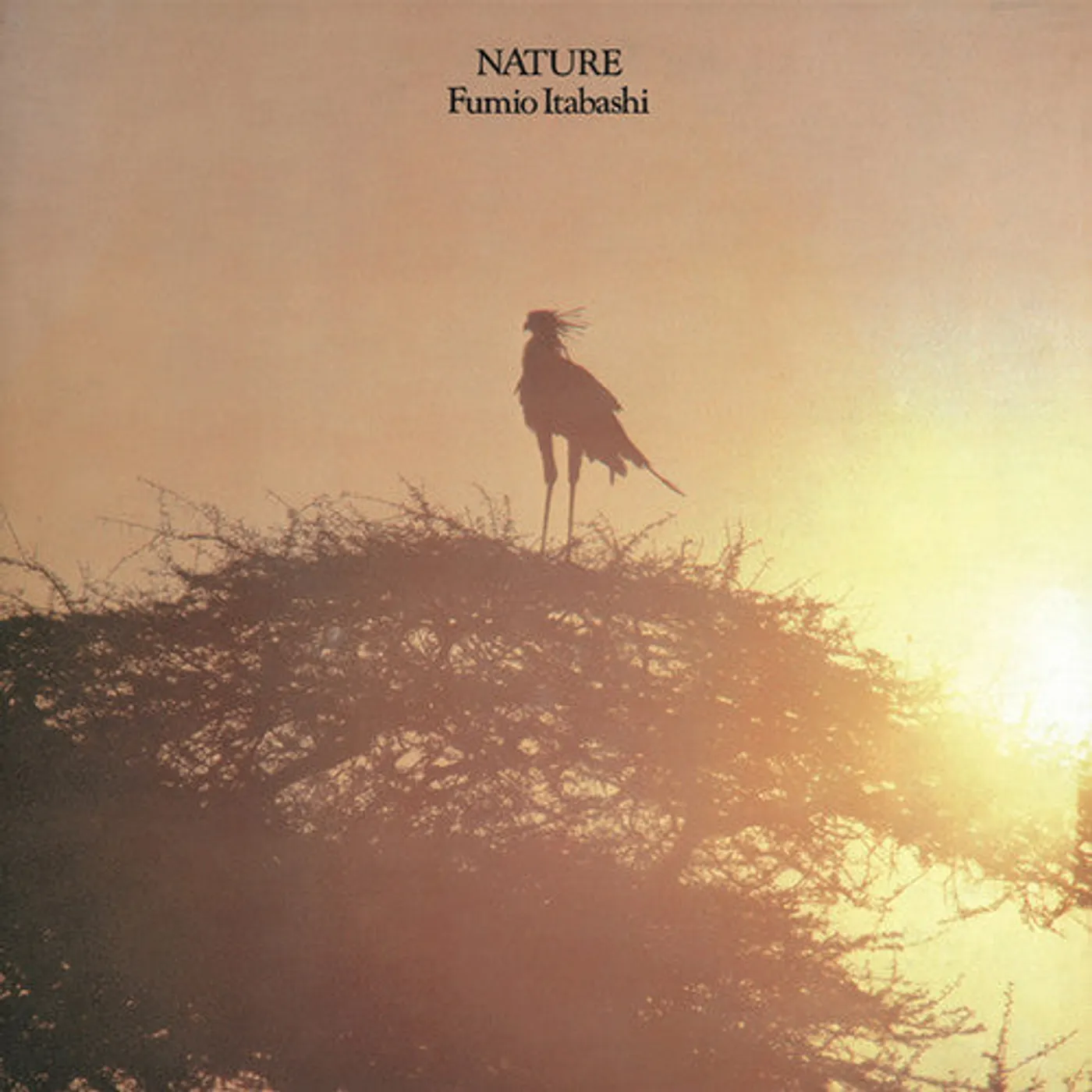 Fumio Itabashi LP Vinyl - Nature