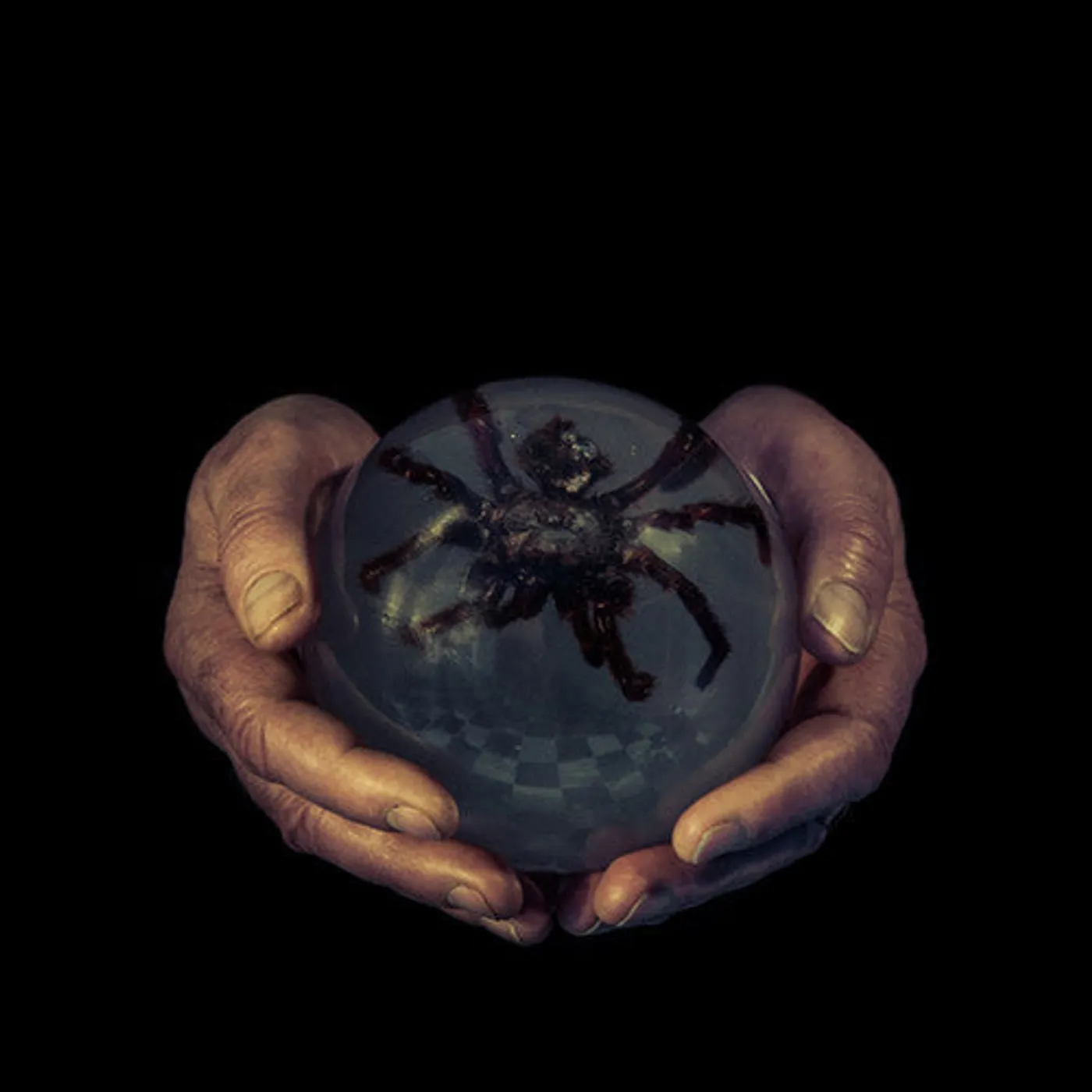 Buck Gooter LP Vinyl - Spiders Eyes