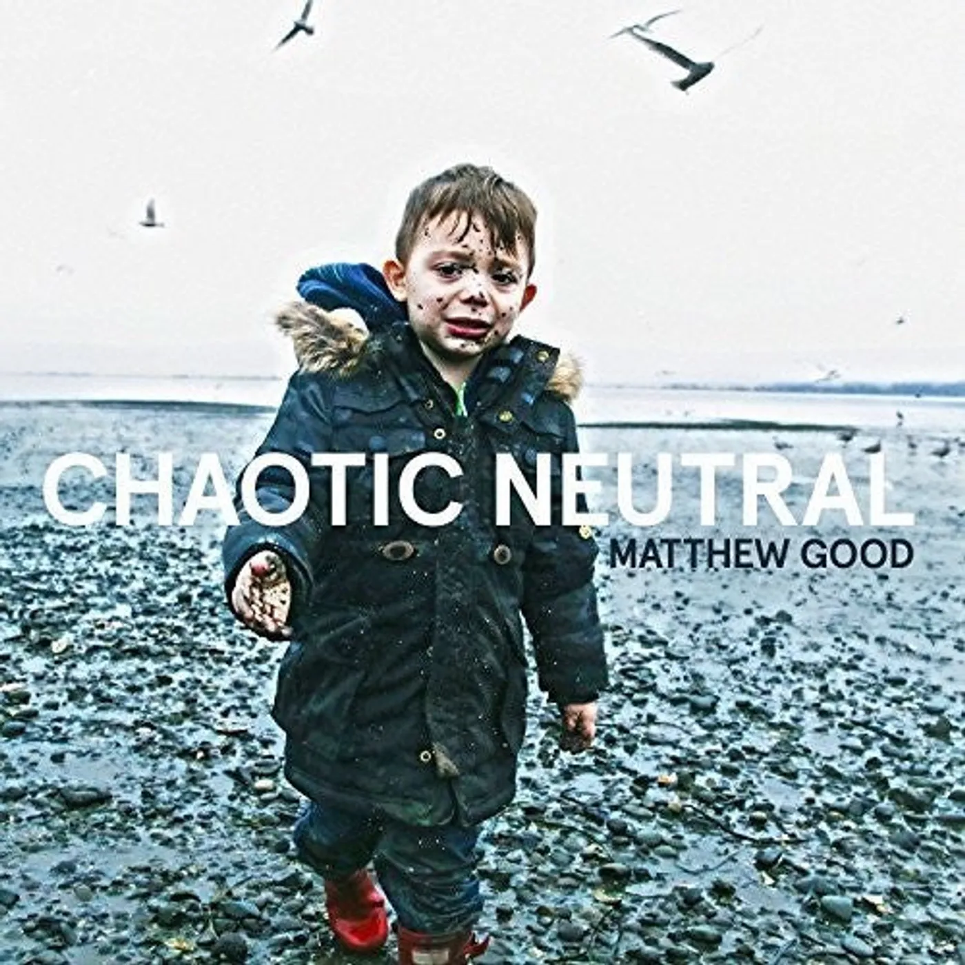Matthew Good LP Vinyl - Chaotic Neutral (Can)