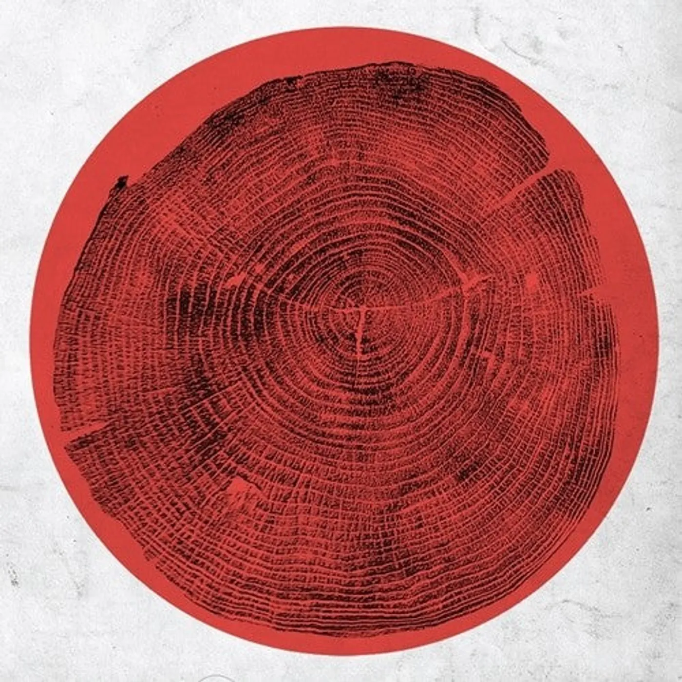 Roy Montgomery LP Vinyl - Q: Transient Global Amnesia