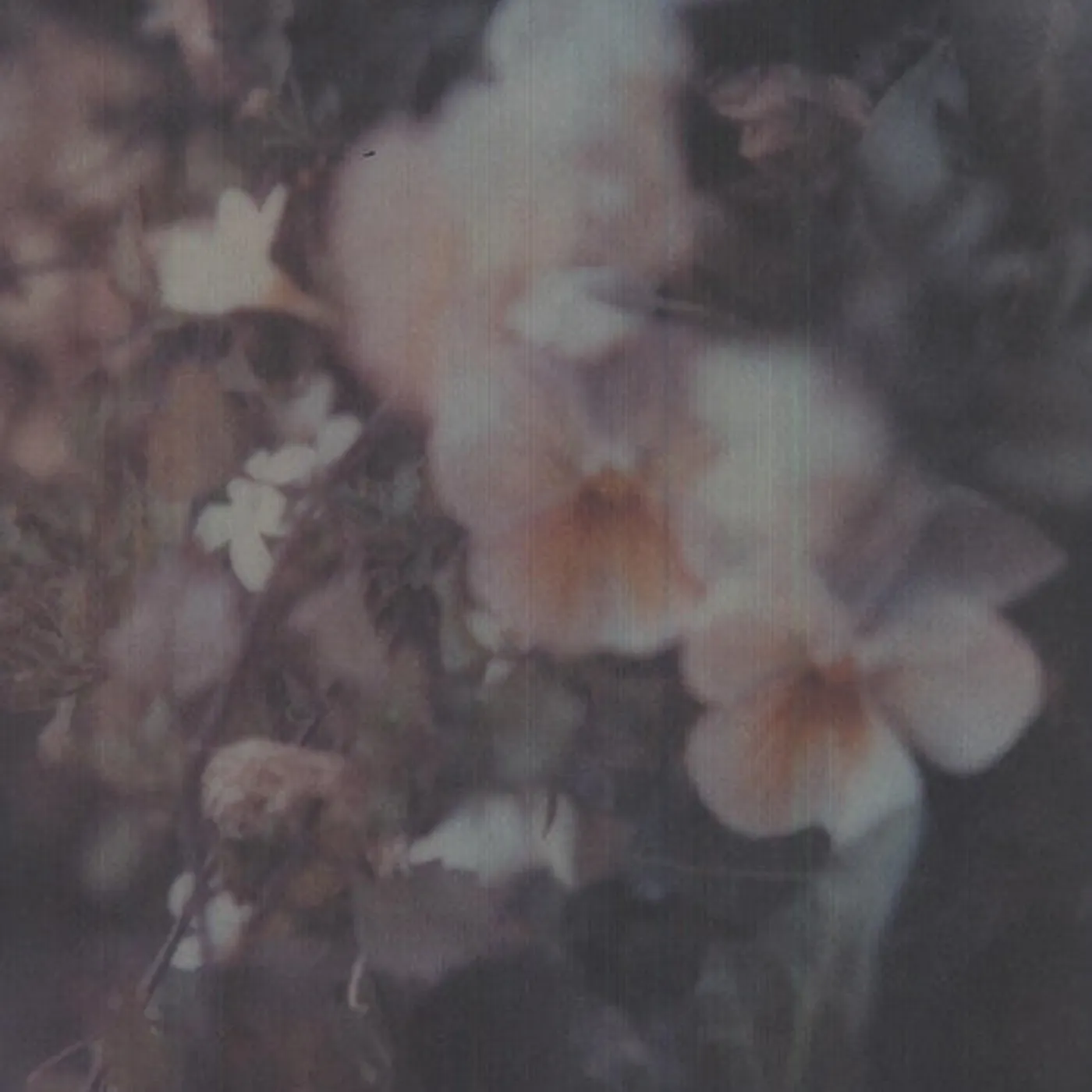 Every Hidden Color LP Vinyl - Luz