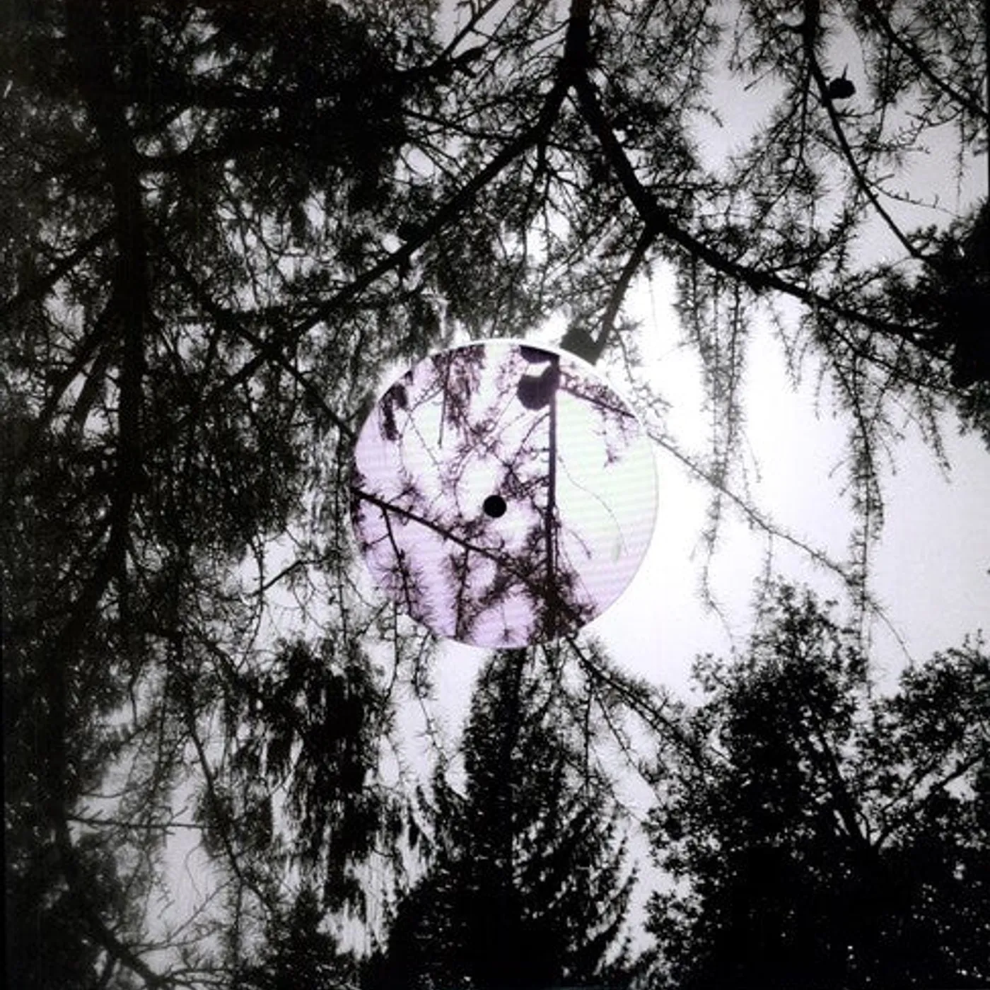 High Places LP Vinyl - Can'T Feel Born (Ep)