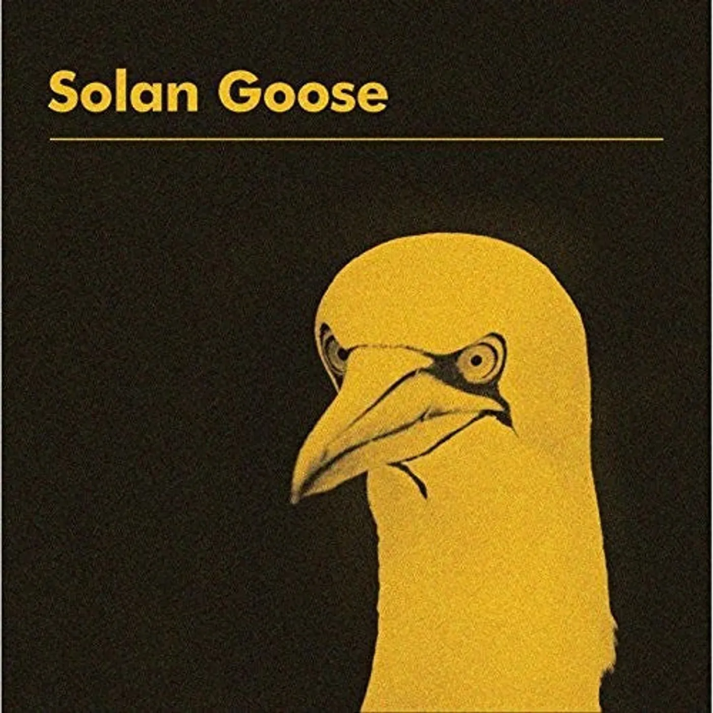 Erland Cooper LP Vinyl - Solan Goose (Uk)