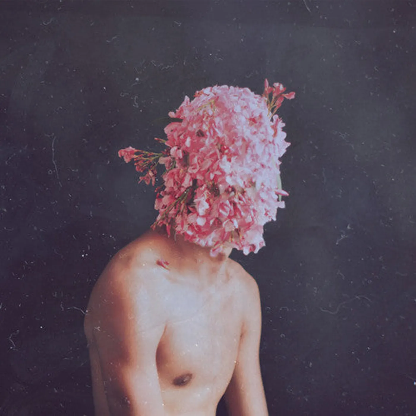 Lake People LP Vinyl - Phase Transition
