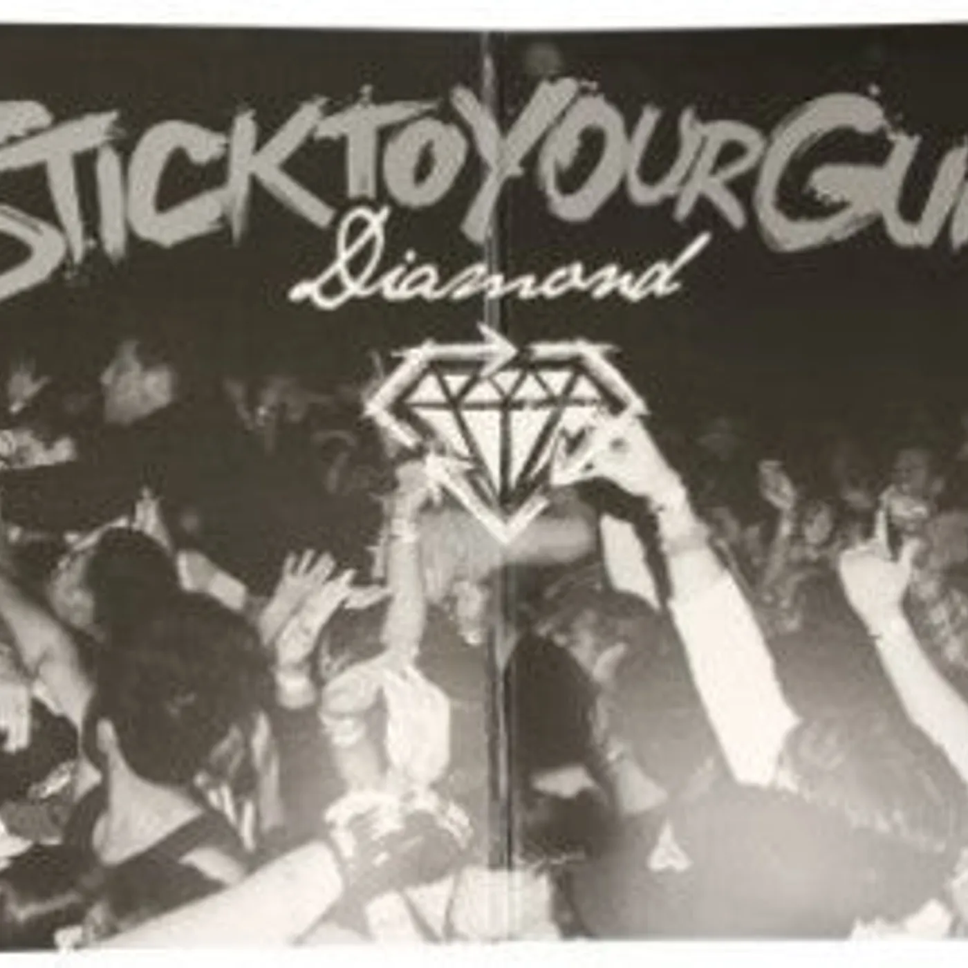 Stick To Your Guns LP Vinyl - Diamond