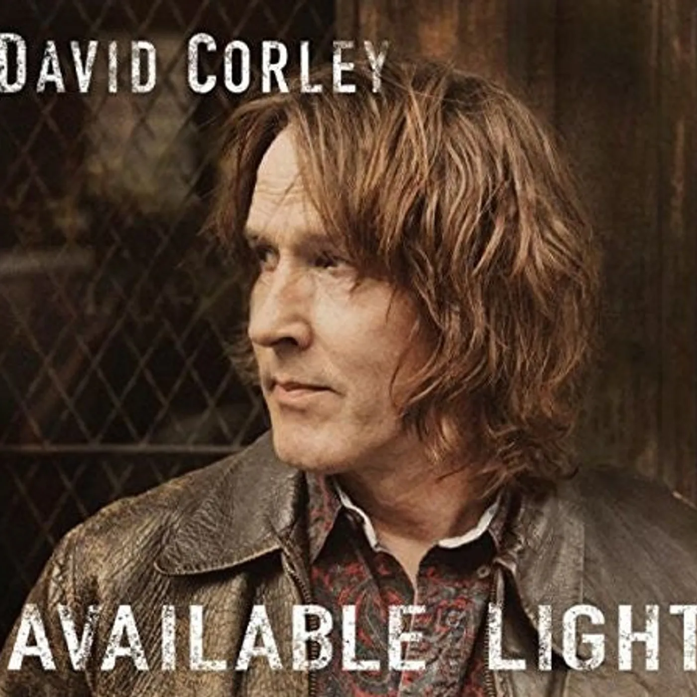 David Corley LP Vinyl - Available Light (Uk)