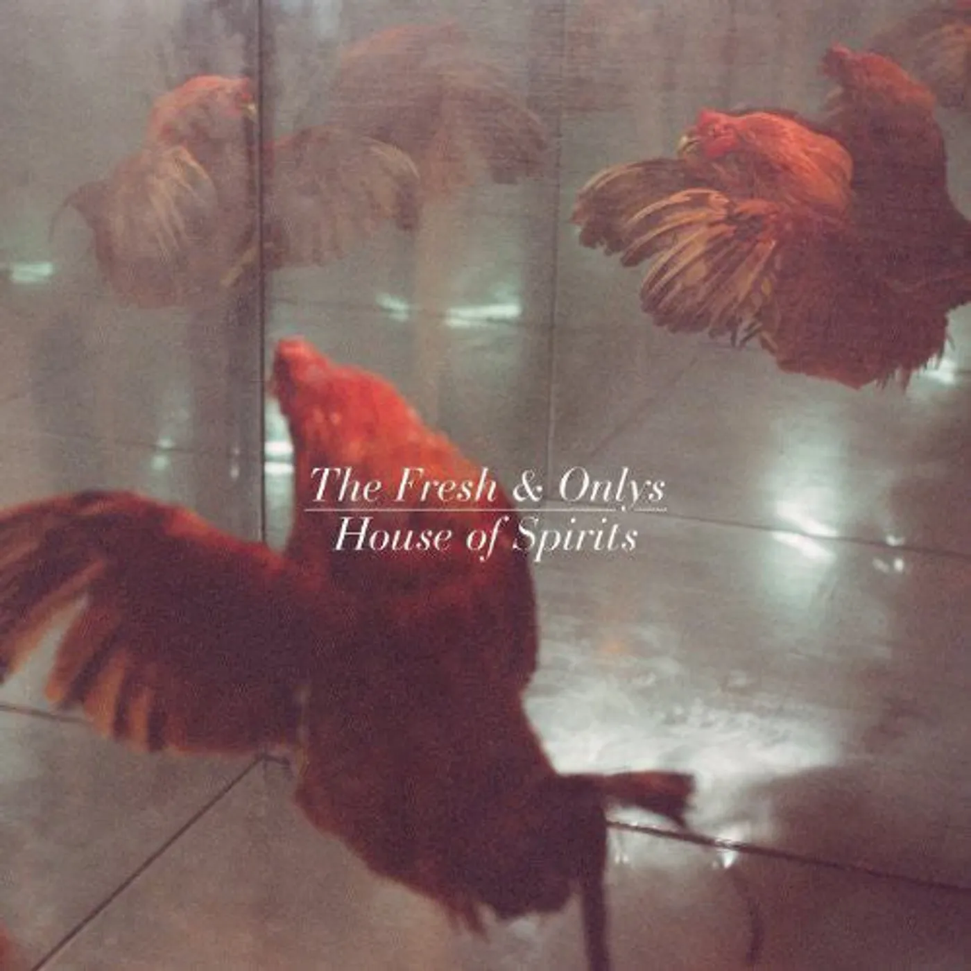 The Fresh & Onlys LP Vinyl - House Of Spirits
