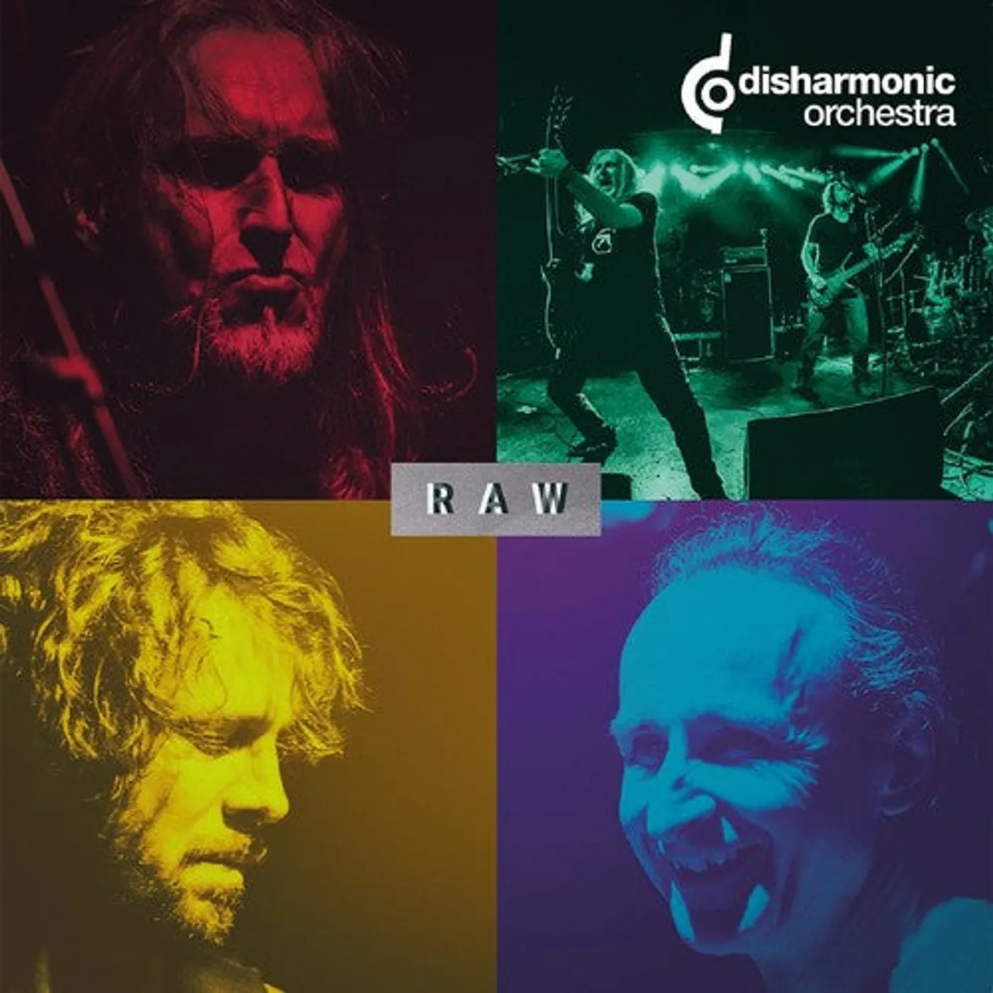 Disharmonic Orchestra LP Vinyl - Raw