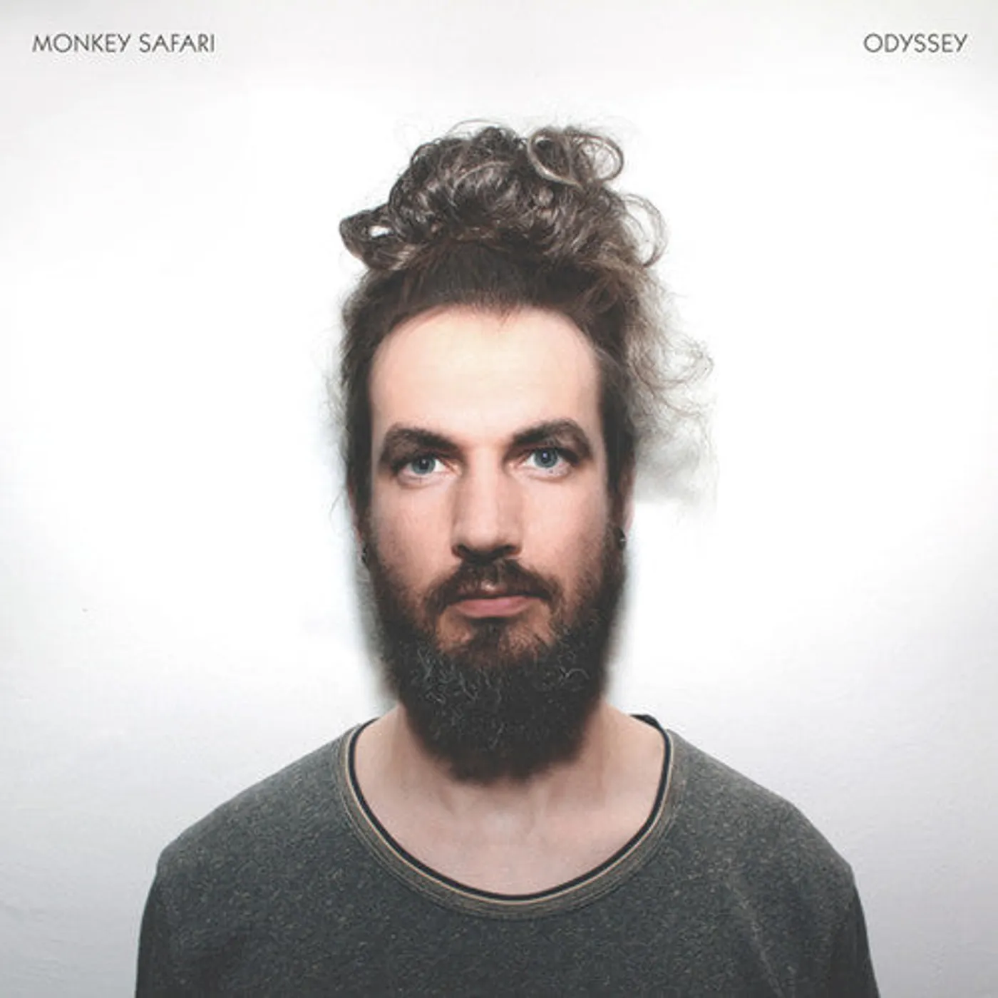 Monkey Safari LP Vinyl - Odyssey