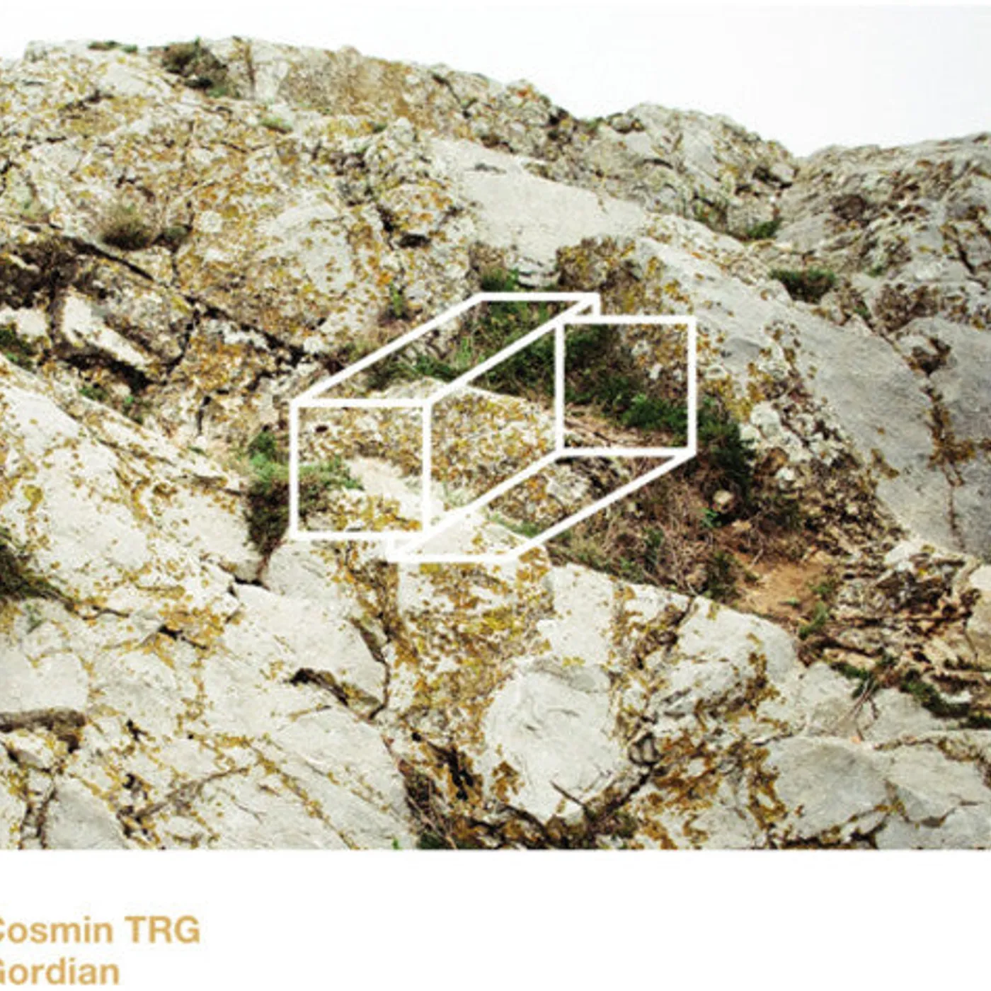 Cosmin Trg LP Vinyl - Gordian
