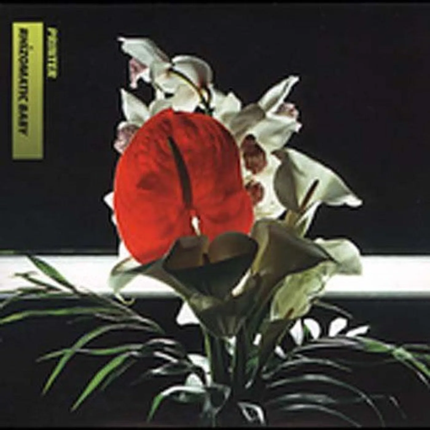 Printer LP Vinyl - Rhizomatic Baby